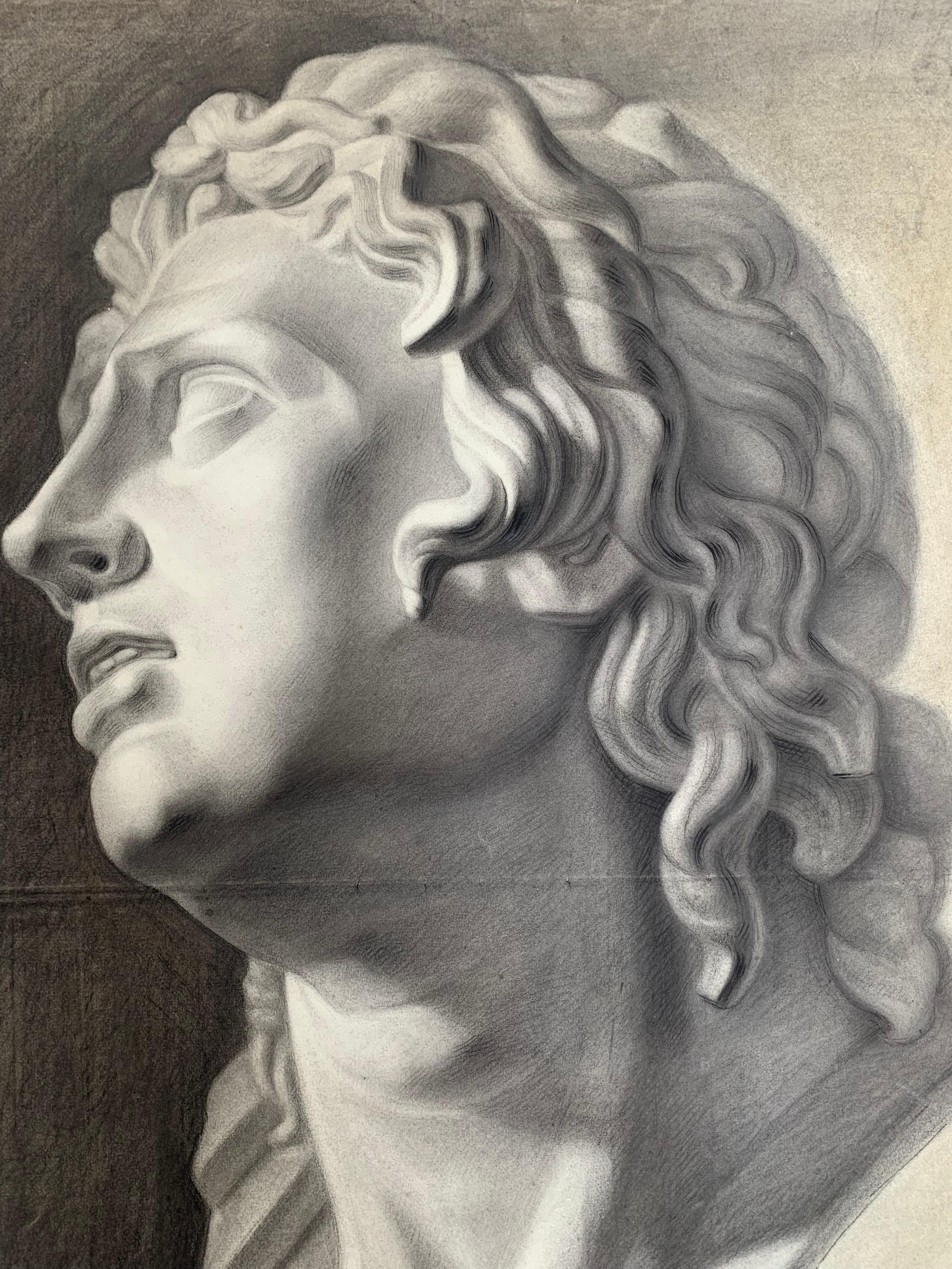 Large XIXth cent. Academic drawing of Alexander The Great’s bust from Uffizi.  1