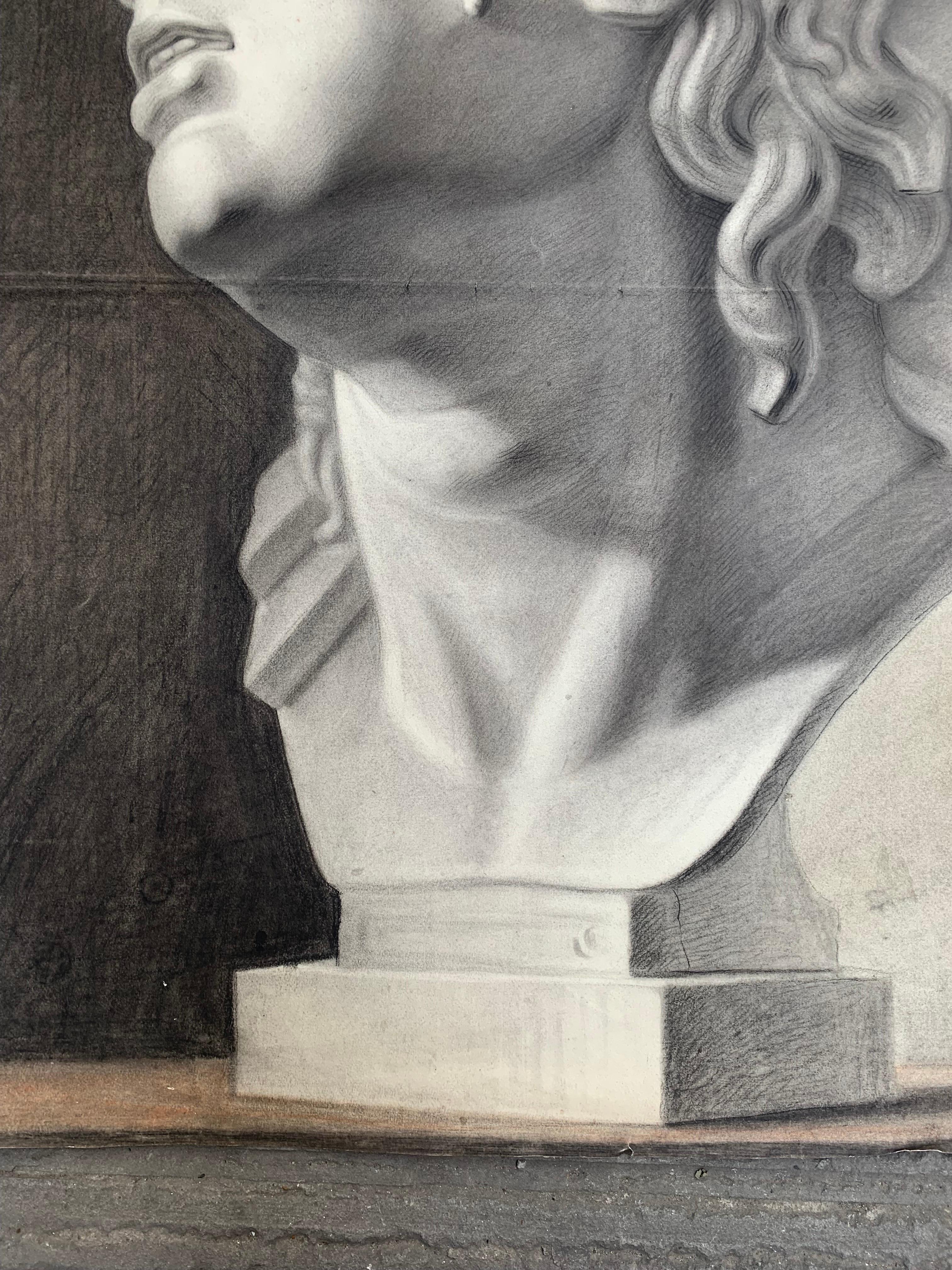 Large XIXth cent. Academic drawing of Alexander The Great’s bust from Uffizi.  For Sale 2