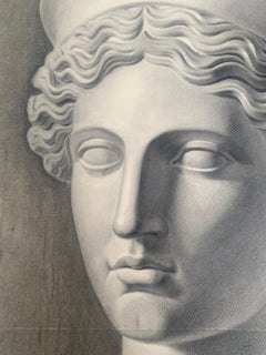 Hera Barberini from Vatican Museum. Large Italian Academic study. 73cm x 58cm