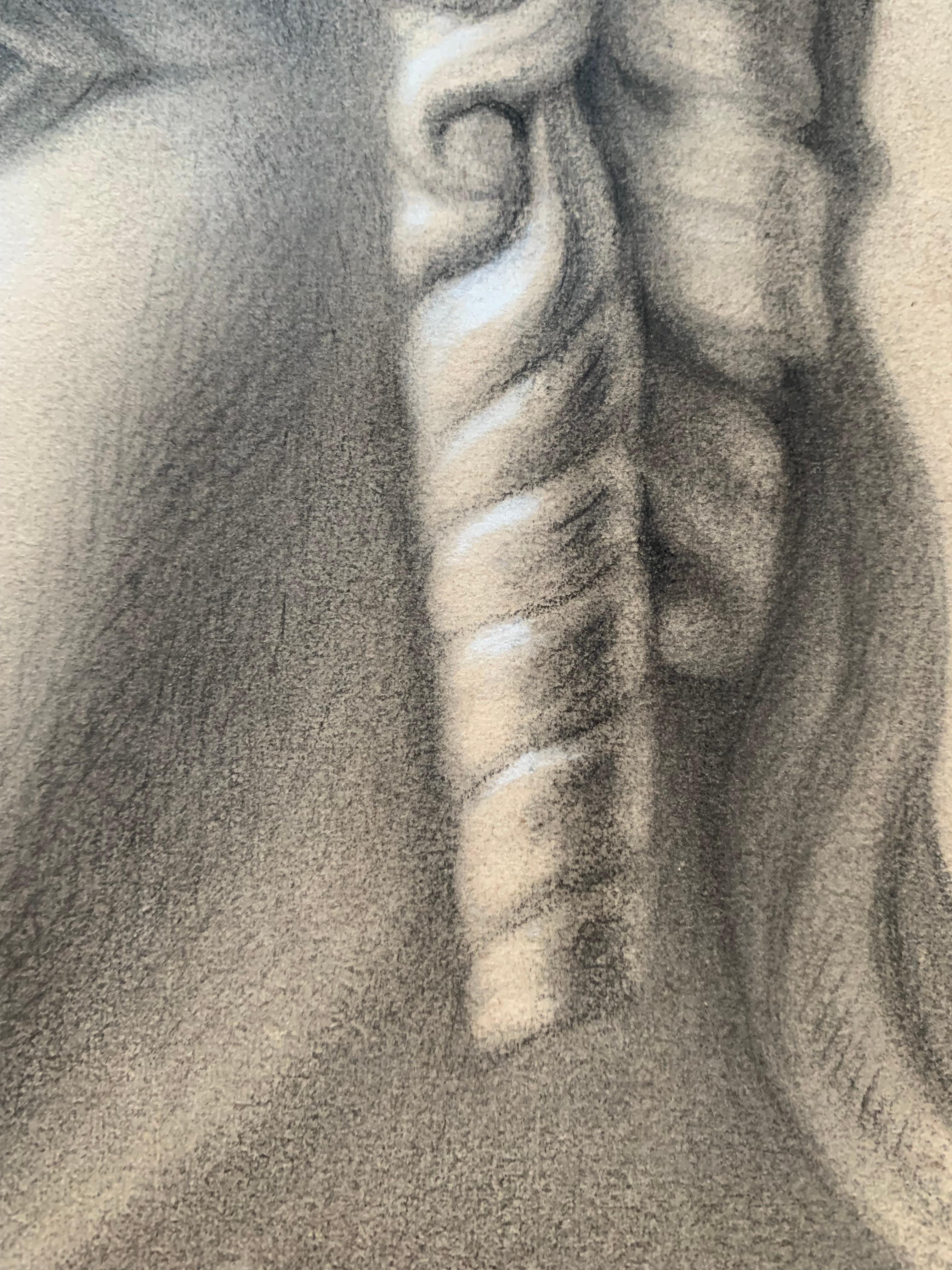 Akademische Studie des 19. Jahrhunderts über den Kopf der Helena von Troja von Canova. Cm 63 X Cm 46 11