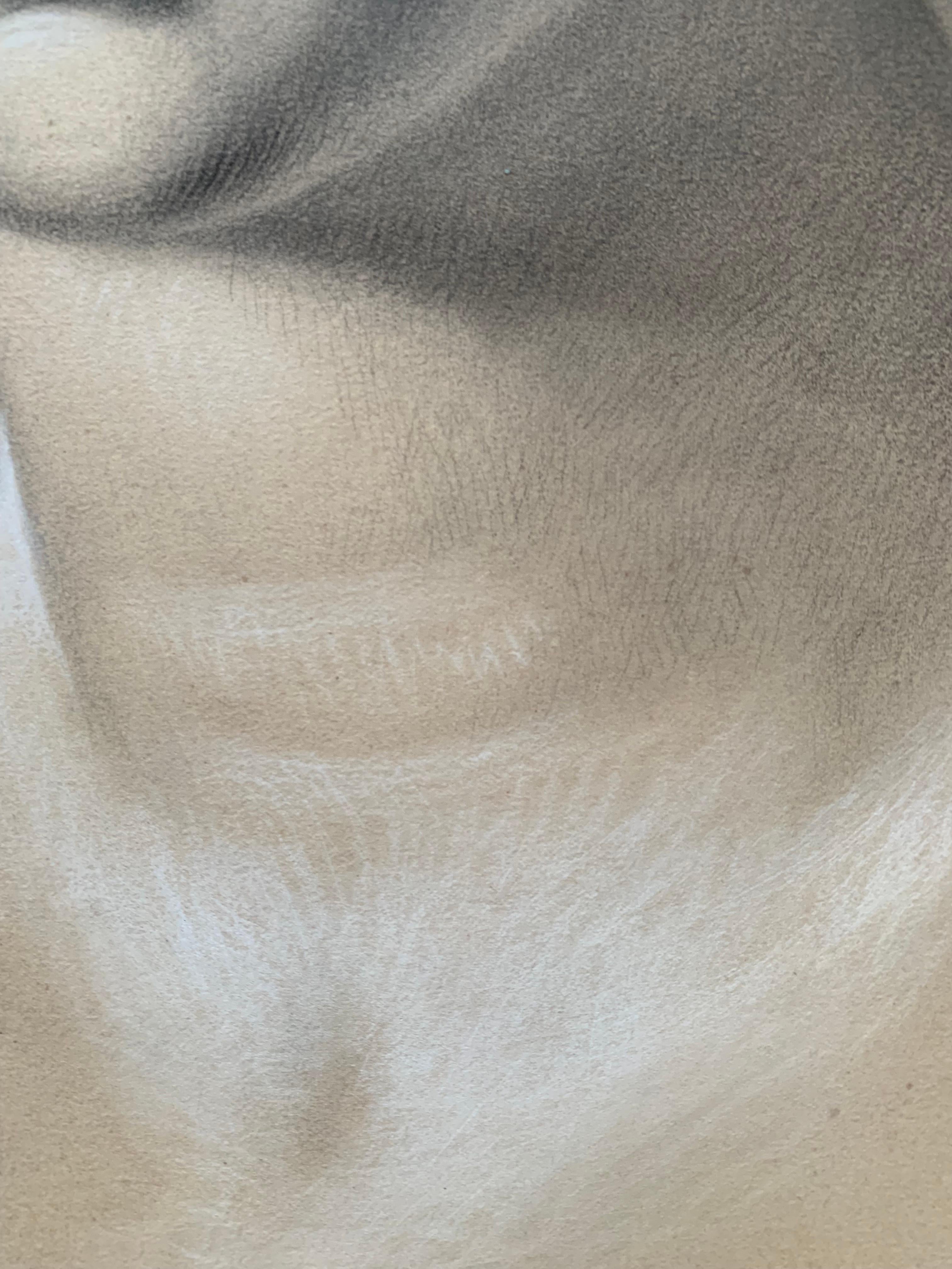 Akademische Studie des 19. Jahrhunderts über den Kopf der Helena von Troja von Canova. Cm 63 X Cm 46 12