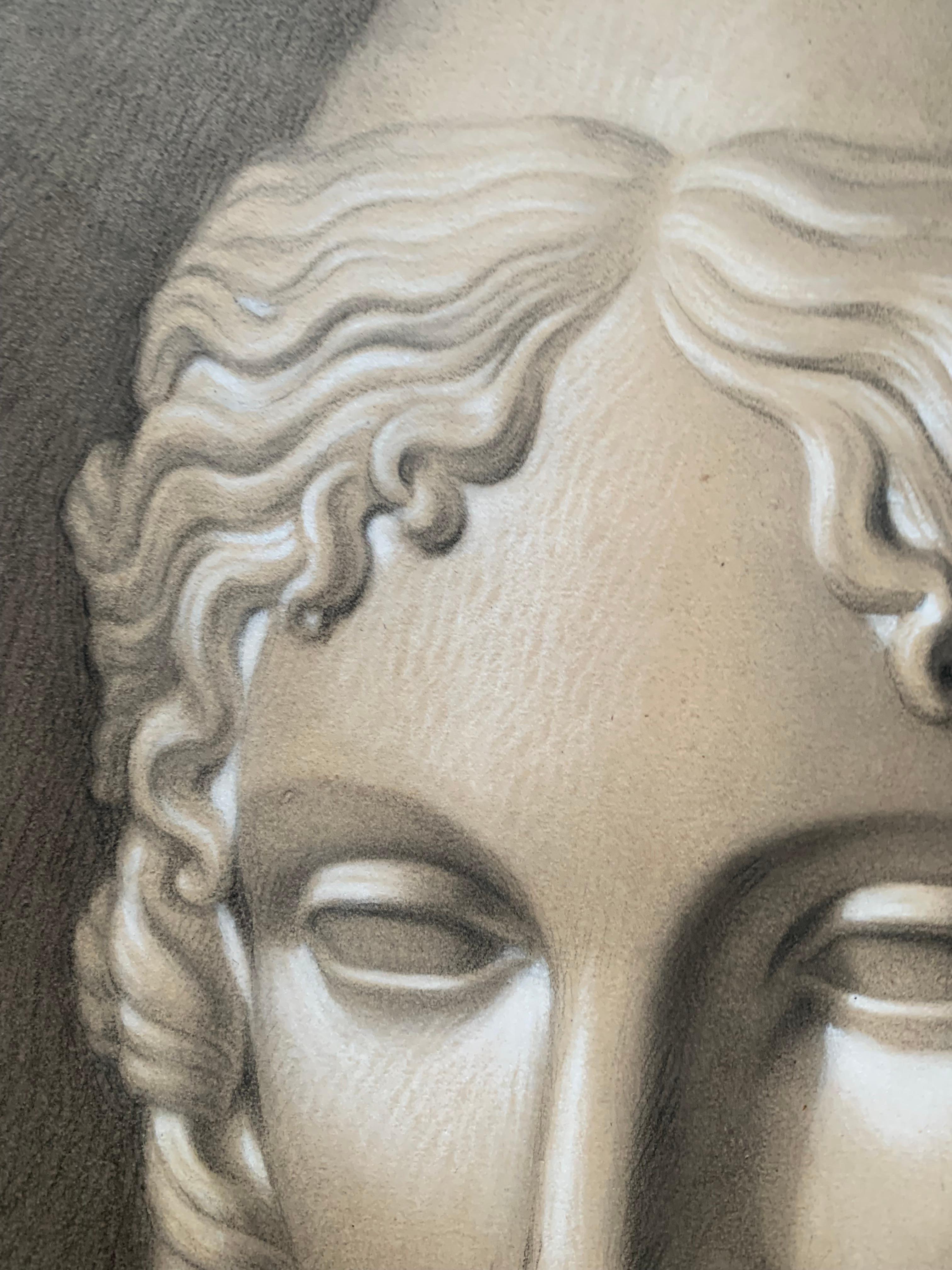 Akademische Studie des 19. Jahrhunderts über den Kopf der Helena von Troja von Canova. Cm 63 X Cm 46 8
