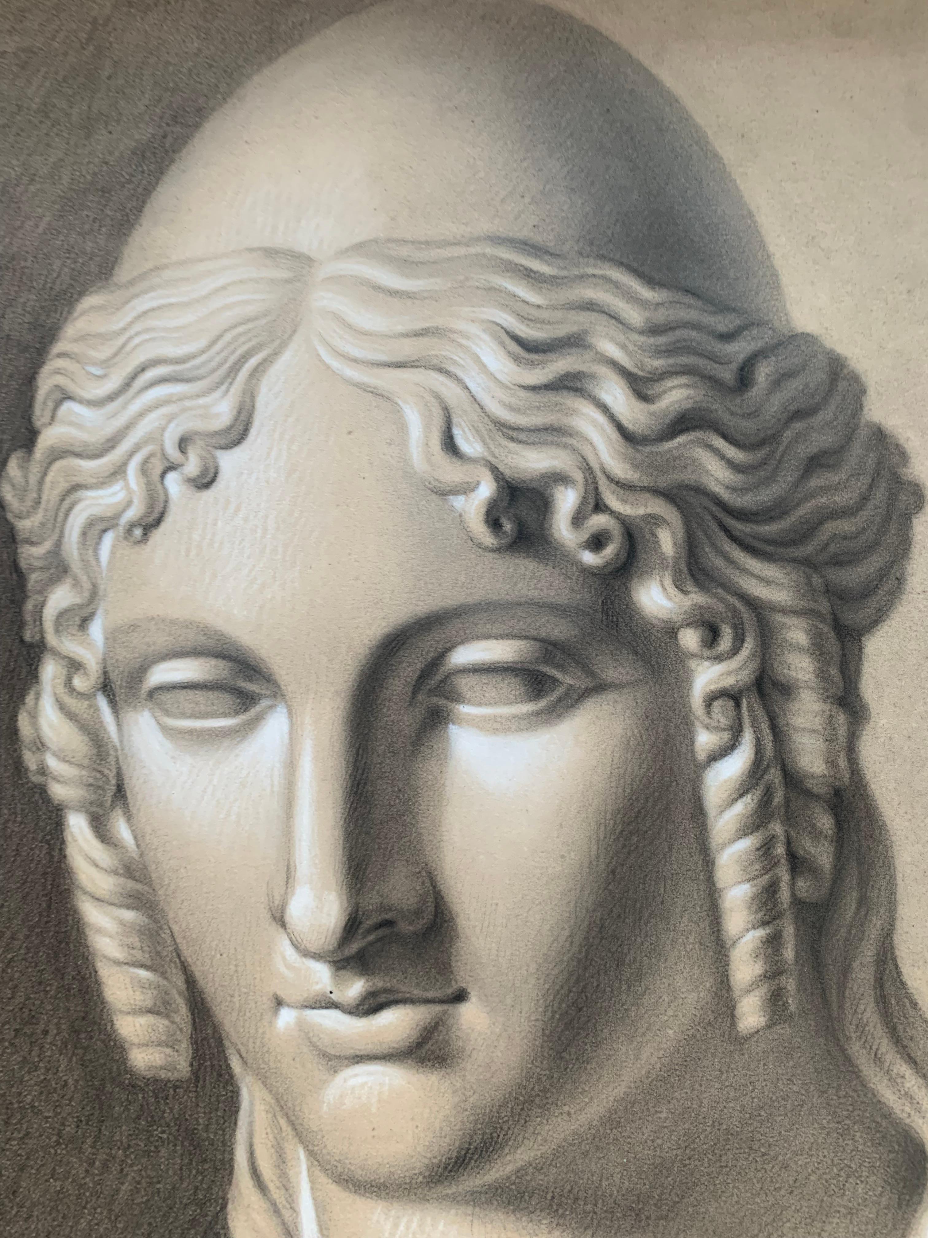 Akademische Studie des 19. Jahrhunderts über den Kopf der Helena von Troja von Canova. Cm 63 X Cm 46 (Gray), Figurative Art, von Unknown