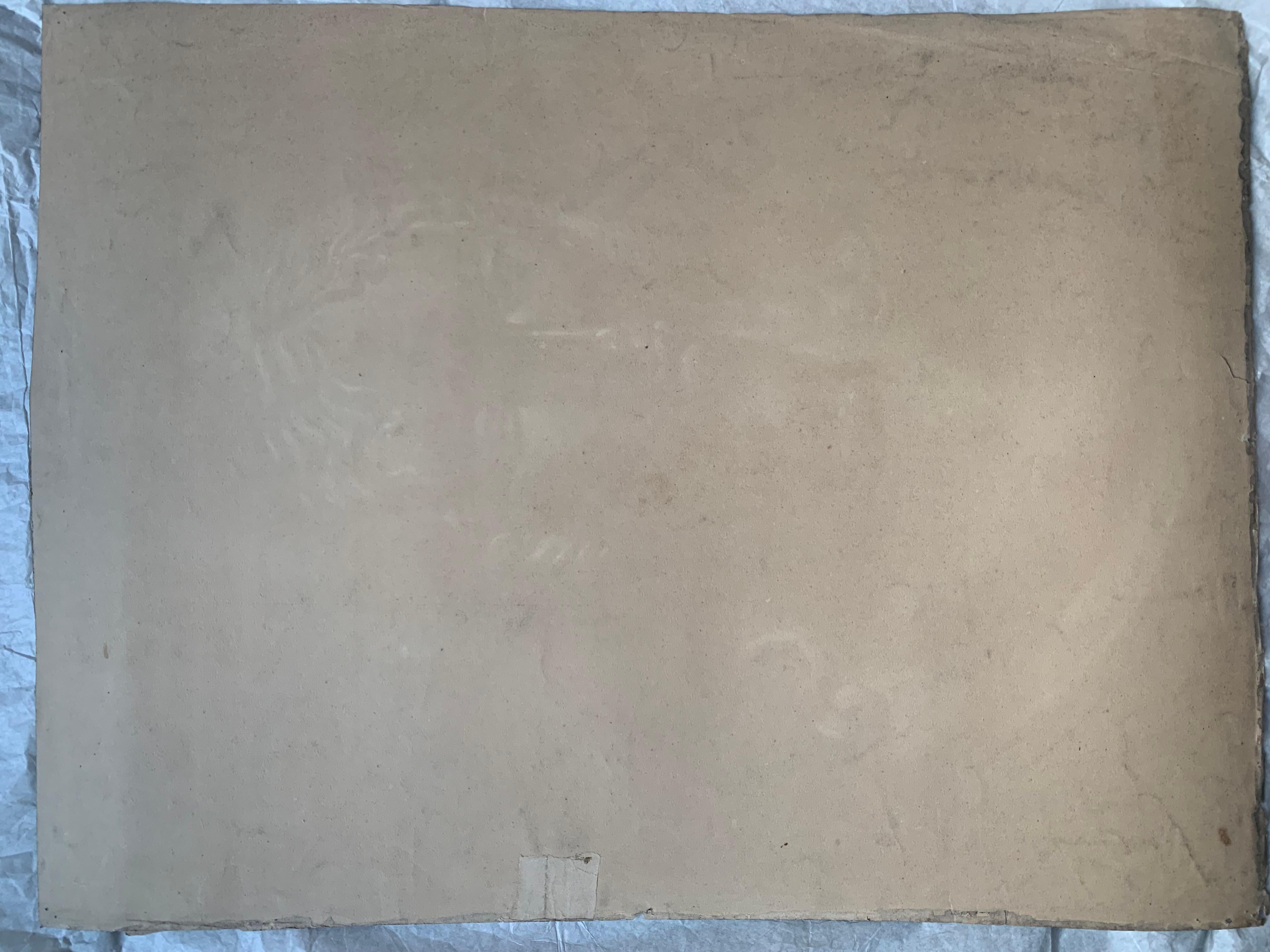 Akademische Studie des 19. Jahrhunderts über den Kopf der Helena von Troja von Canova. Cm 63 X Cm 46 4