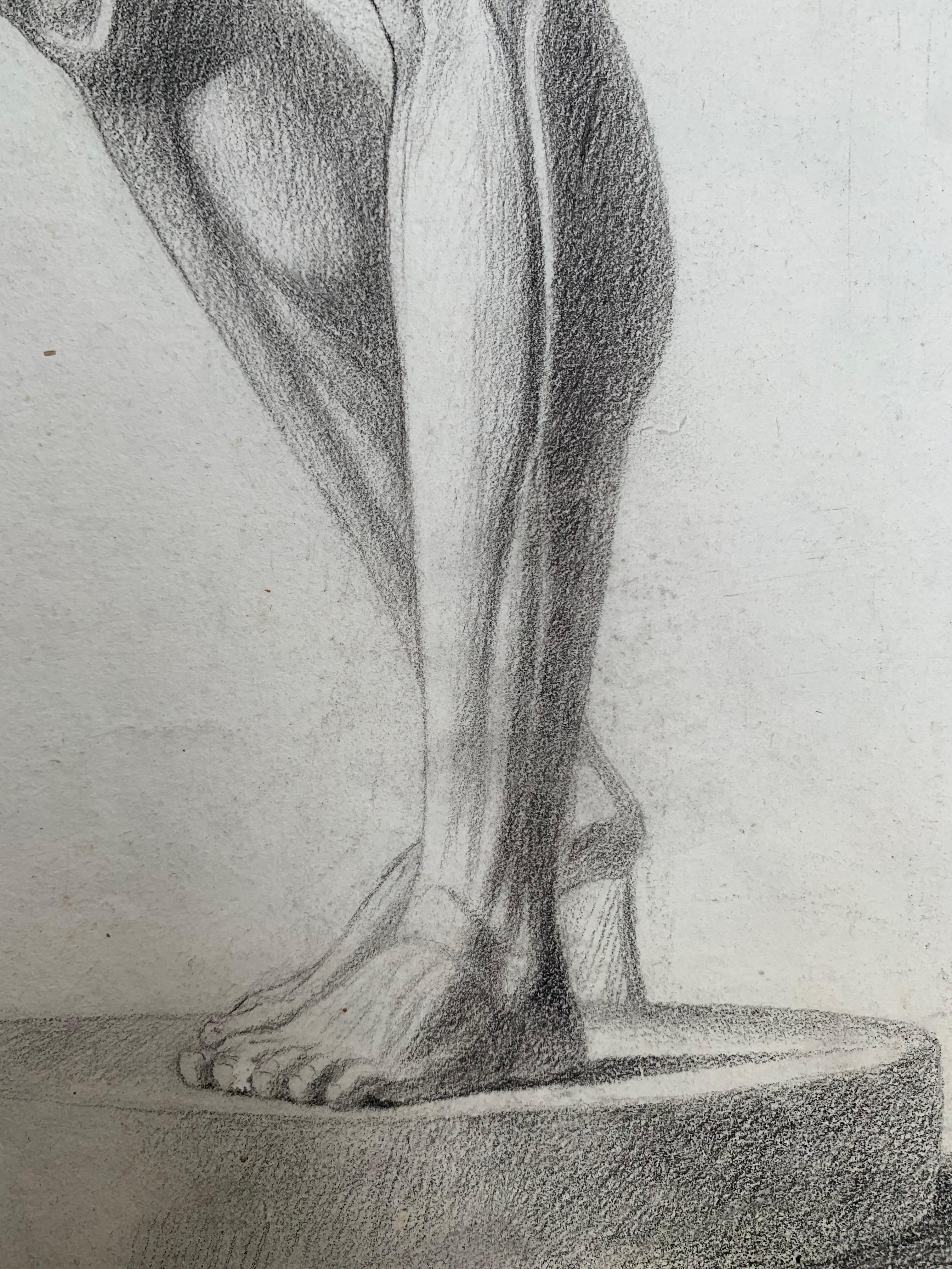 Akademische Zeichnung: L'Écorché von Houdon. Italienische Schule. 19. Jahrhundert. 59x44cm – Art von Unknown