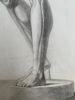Disegno accademico: L'Écorché di Houdon. Scuola italiana. XIX secolo. 59x44cm
