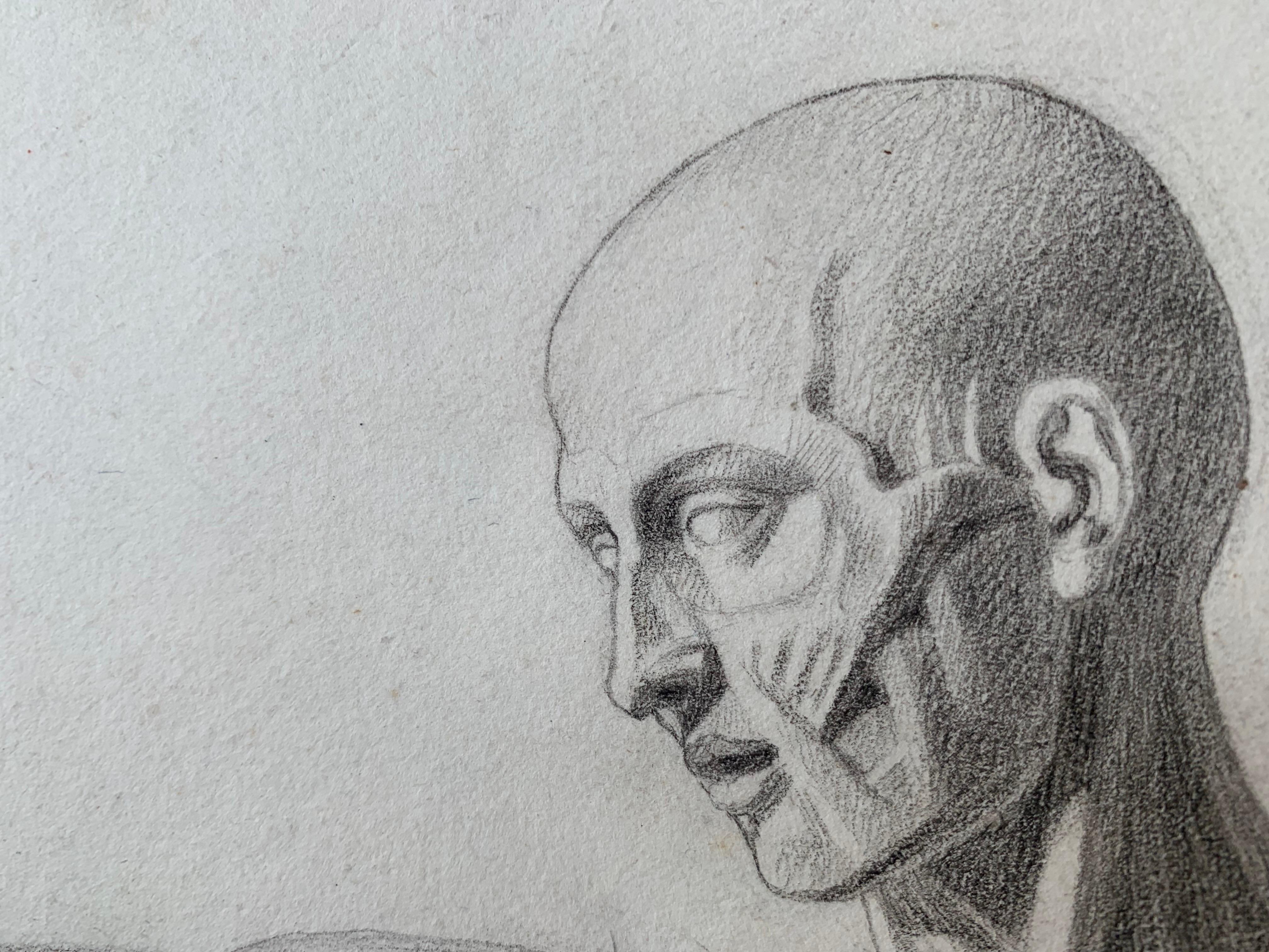 Akademische Zeichnung: L'Écorché von Houdon. Italienische Schule. 19. Jahrhundert. 59x44cm

Es handelt sich um die Statue des écorché des französischen Bildhauers Houdon.

Skulptur - Anatomisches Modell des männlichen Körpers, das später in