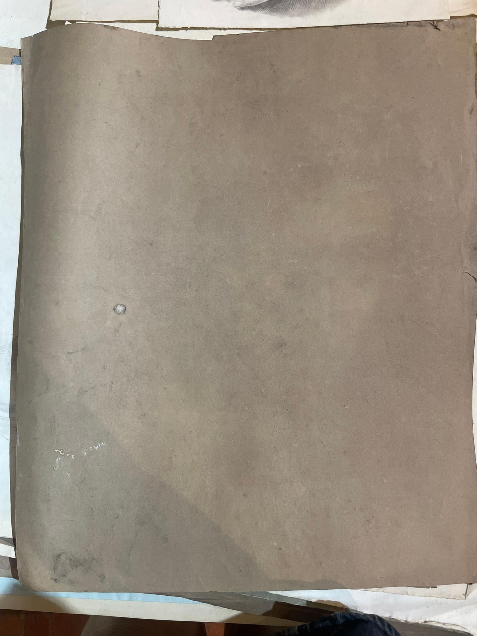 Estudio académico según el David de Miguel Ángel, Escuela Toscana, 51 × 43 cm en venta 1