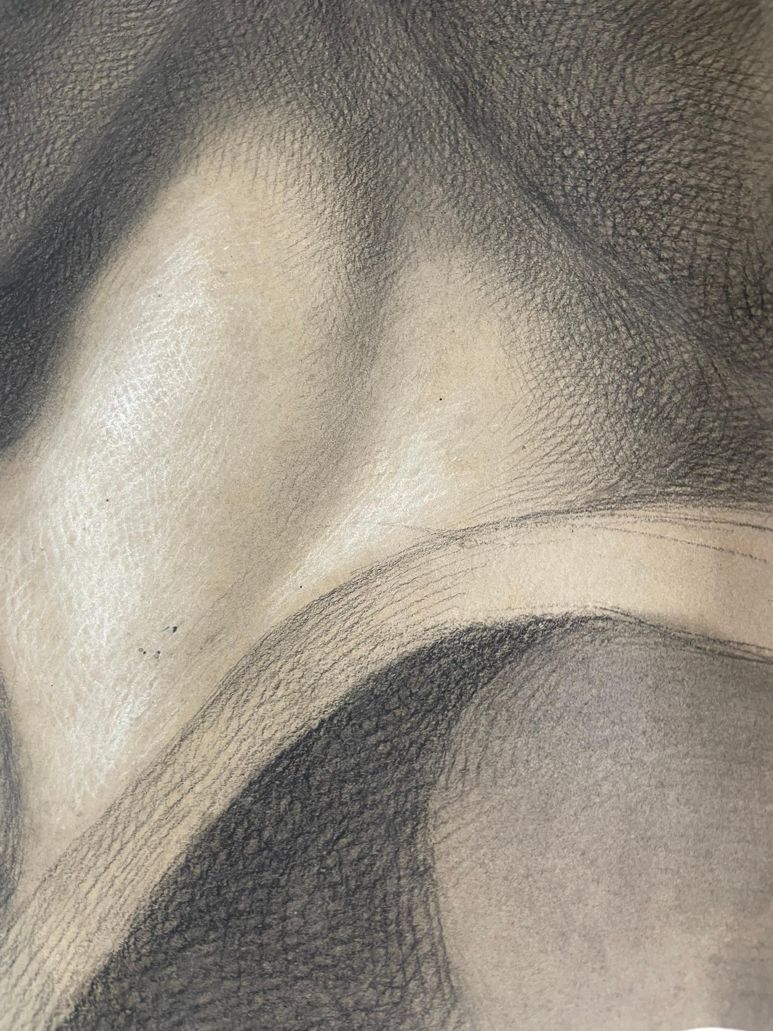 Estudio académico según el David de Miguel Ángel, Escuela Toscana, 51 × 43 cm en venta 4