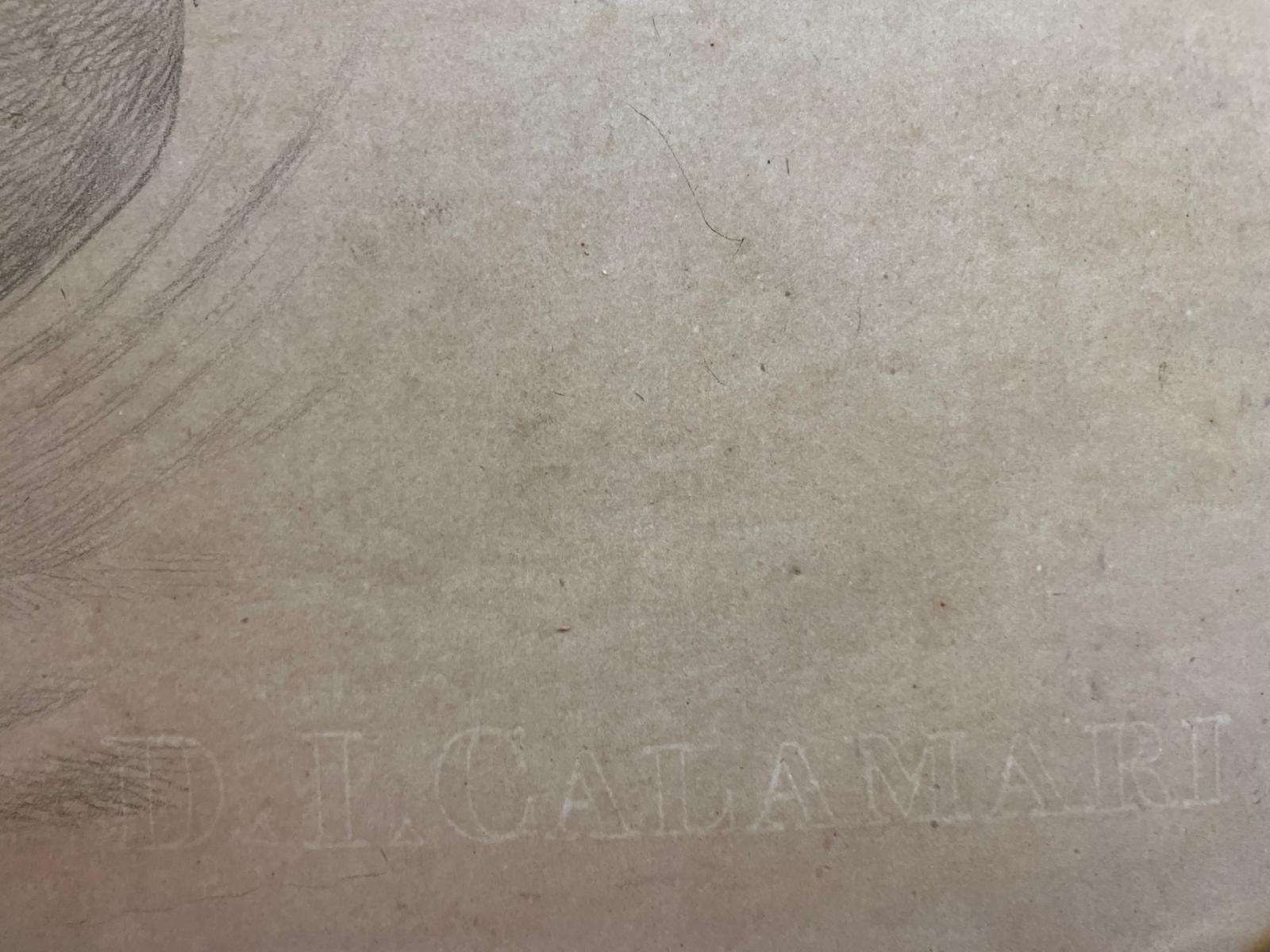 Estudio académico de la cabeza de un caballo en venta 2