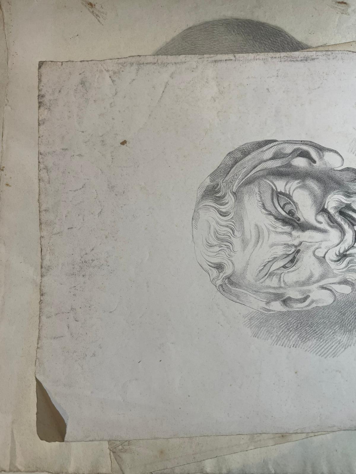 Masque de satyre, étude académique d'après un modèle antique et œuvre perdue de Michelangelo en vente 2