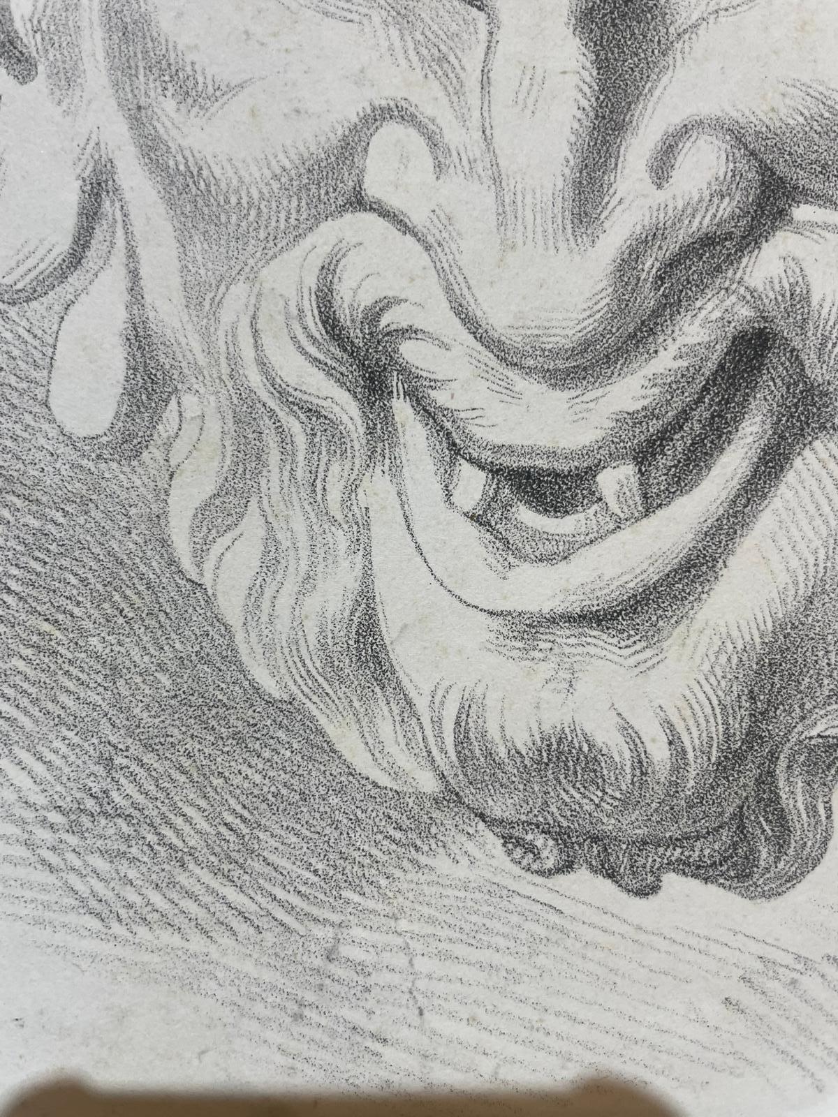 Masque de satyre, étude académique d'après un modèle antique et œuvre perdue de Michelangelo - École italienne Art par Unknown
