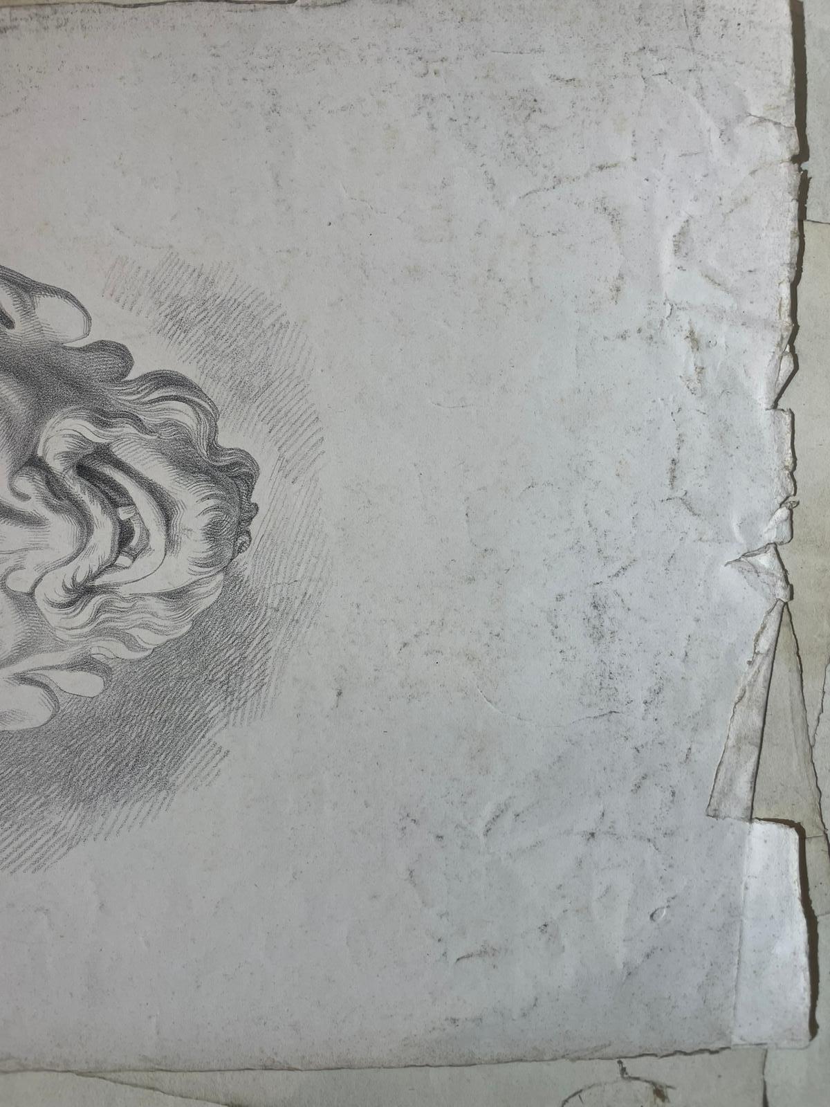 Masque de satyre, étude académique d'après un modèle antique et œuvre perdue de Michelangelo en vente 3