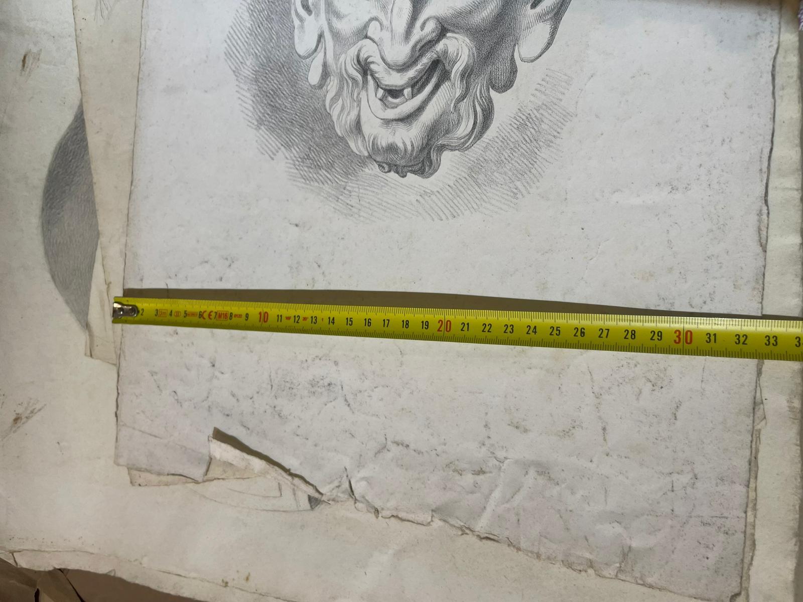 Masque de satyre, étude académique d'après un modèle antique et œuvre perdue de Michelangelo en vente 6