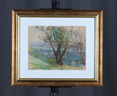 Arbres en fleurs sur les hauteurs de Vaux