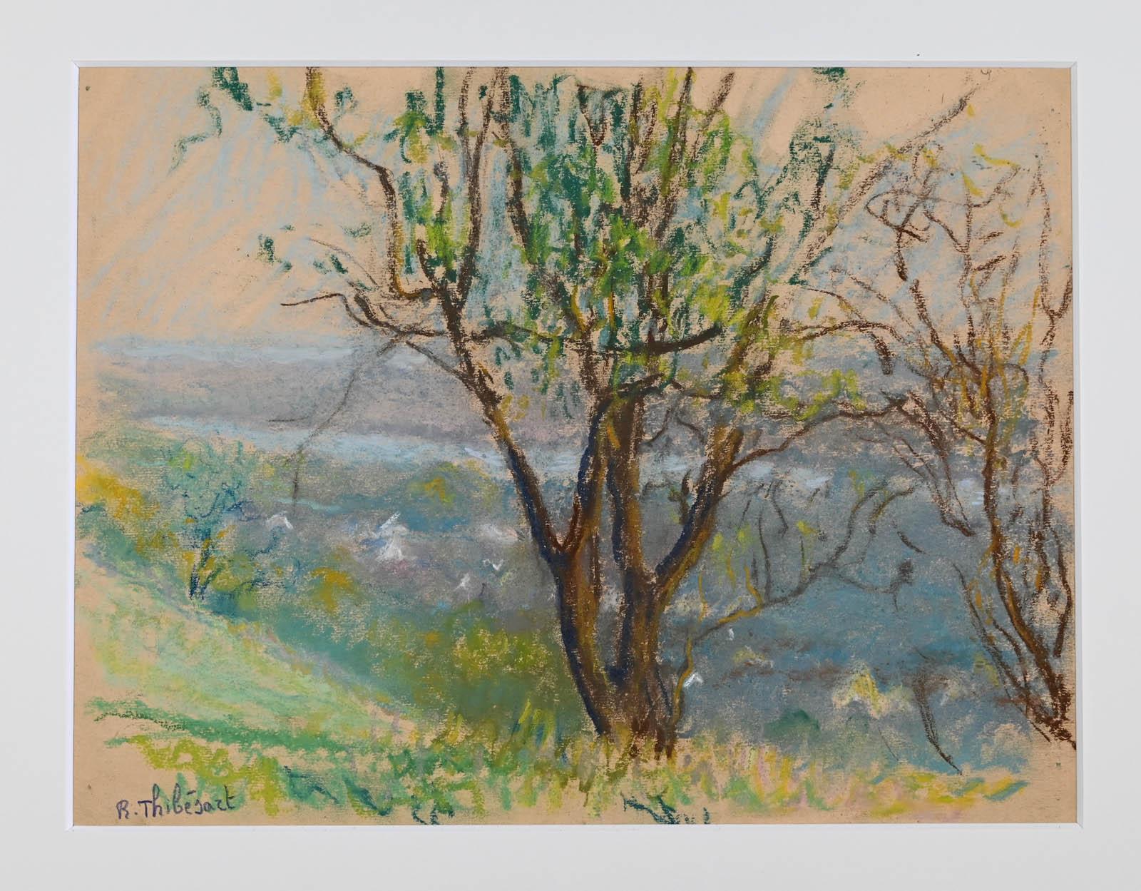 Arbres en fleurs sur les hauteurs de Vaux 4