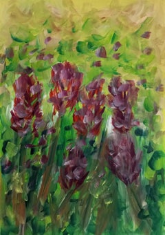 "Irises blooming during spring"