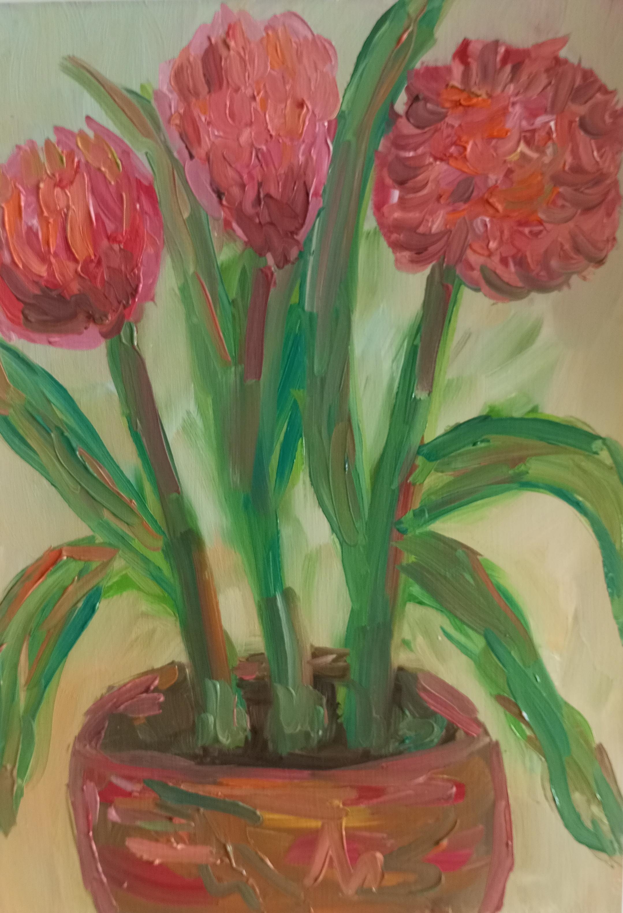 Dalias rosas en flor en un jarrón de terracota