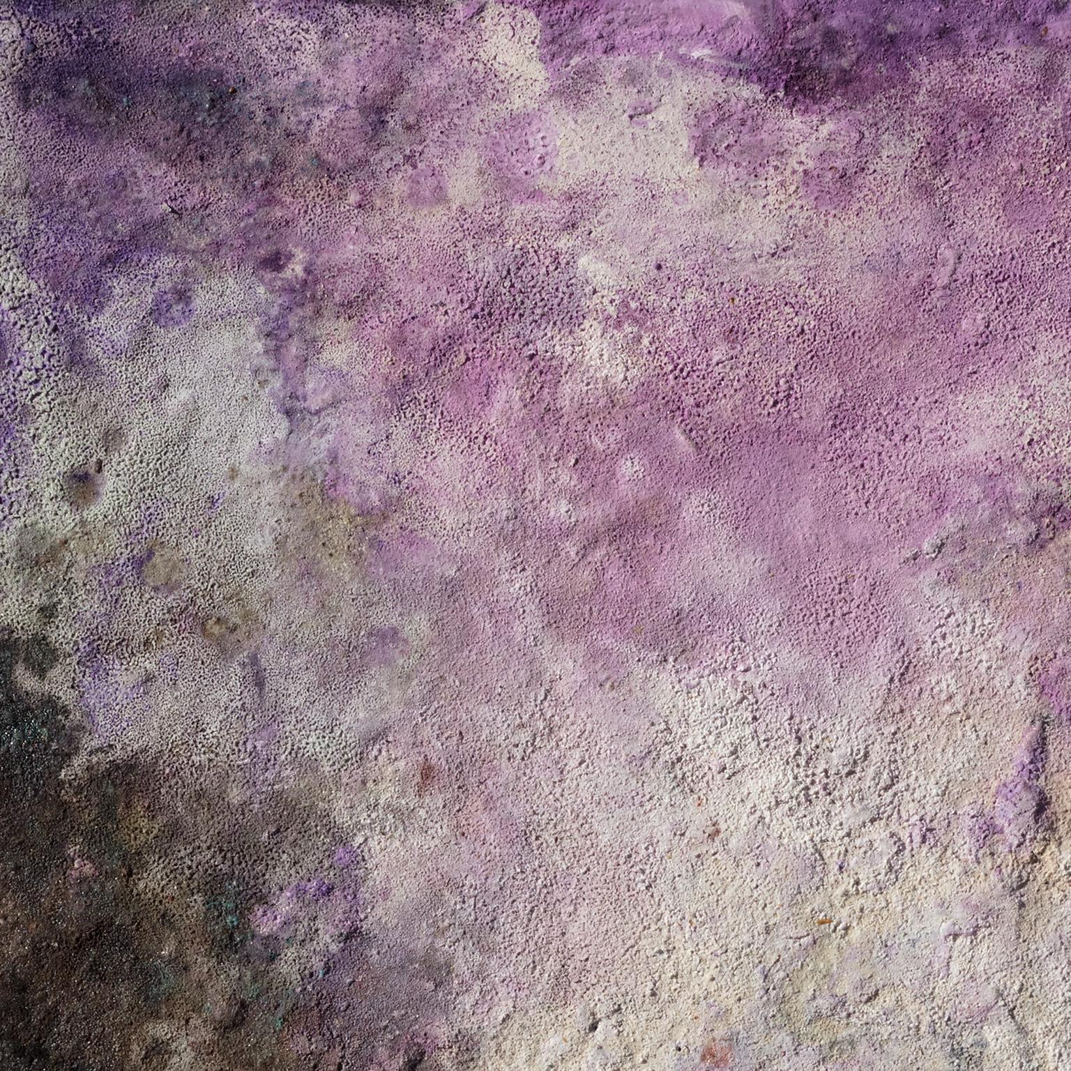 Terra Bruciata (Scorched Earth) - Small Abstract Purple and Red Painting 1