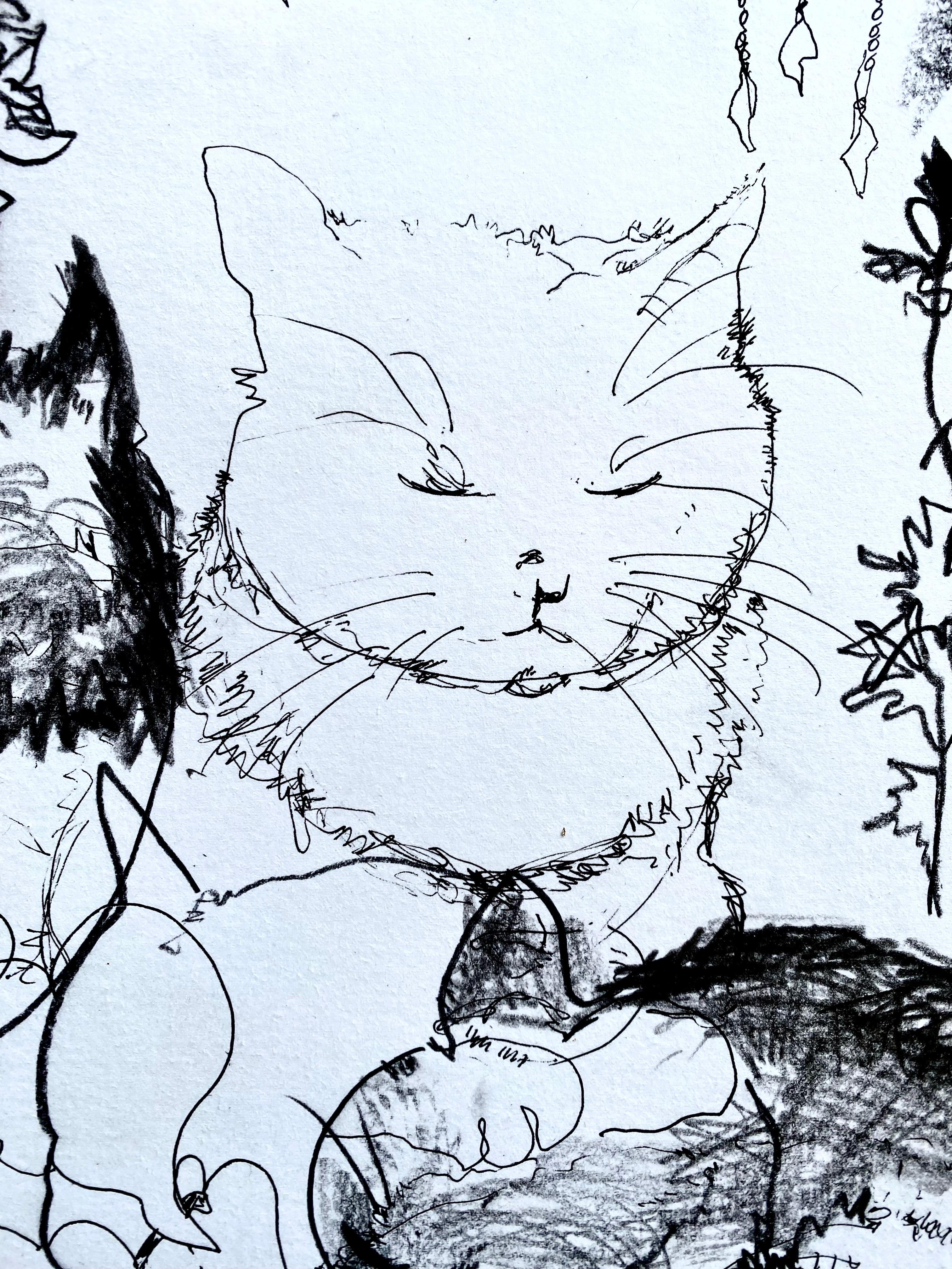 Drawings are the most intimate works of Shizico Yi, therefore it is rare to have few only coming to the market and be available. 
This is a drawing study of her cat in the garden over the few days, the nature of a cat constantly on the move made a