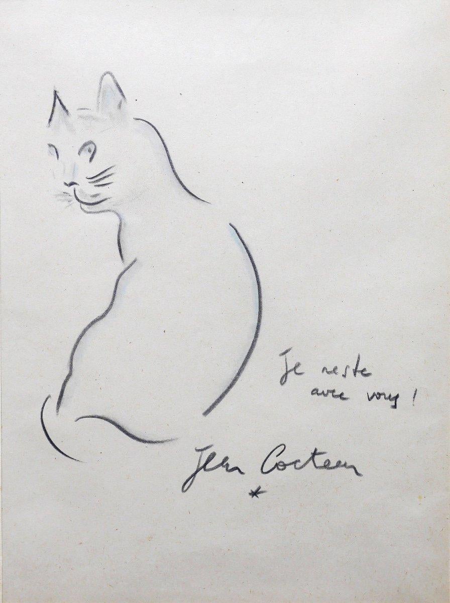 Jean Cocteau (1889-1963) said that cats were the 