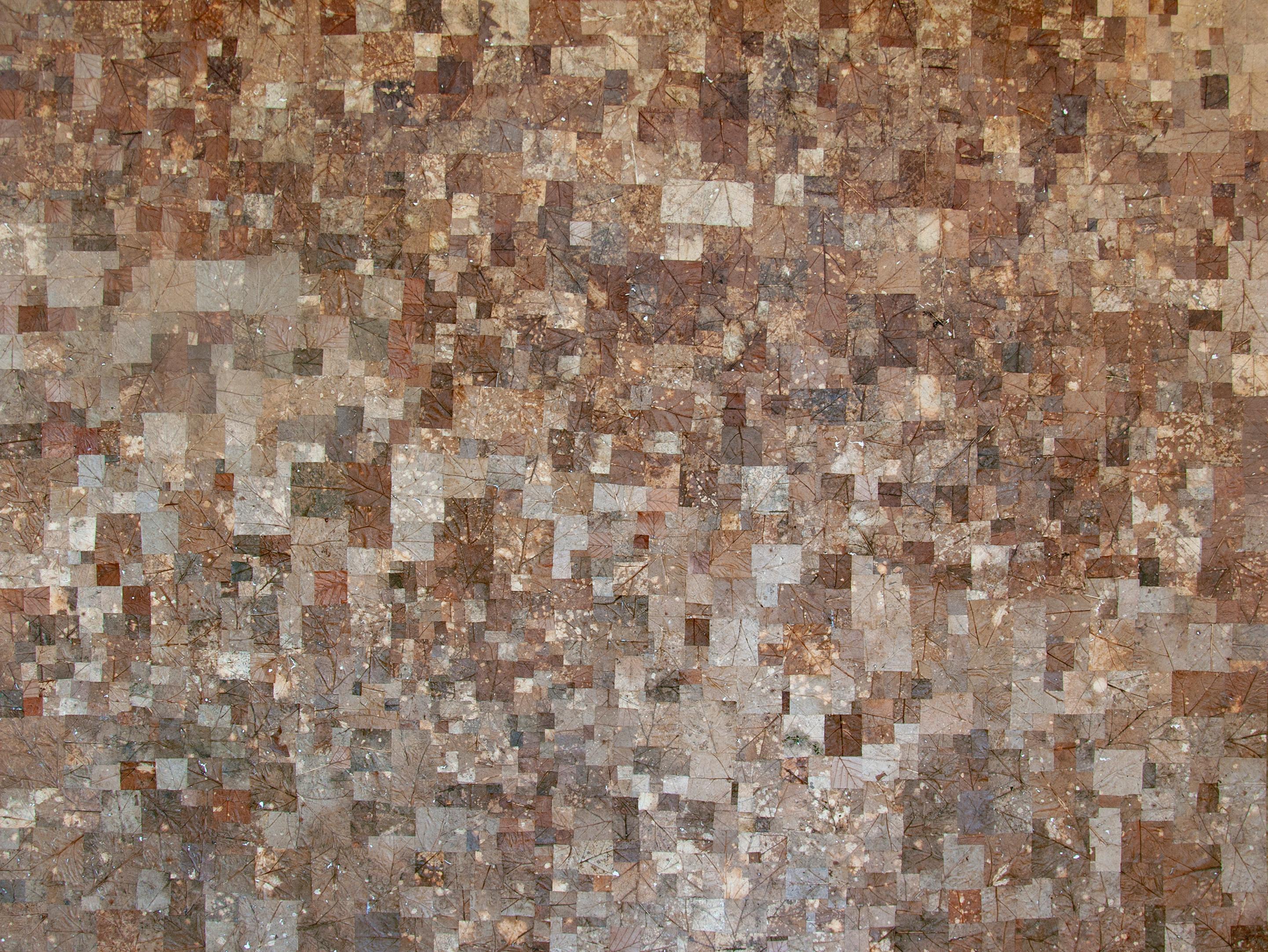 Forest floor, Quercus rubra, Veluwe - Art by Milah van Zuilen
