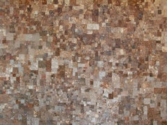 Forest floor, Quercus rubra, Veluwe