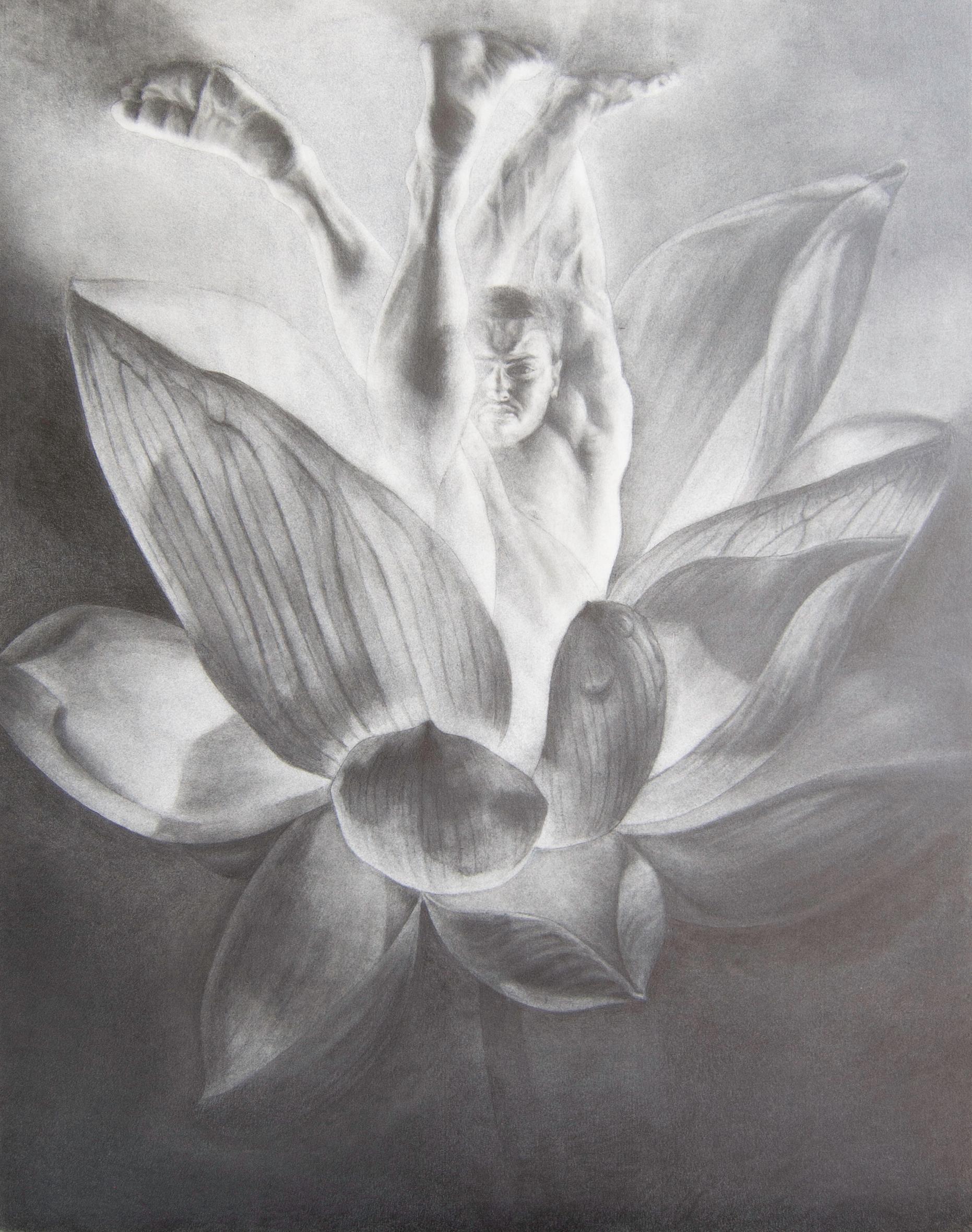 Kyle Andrew Szpyrka - Lotus, Drawing 2015