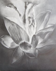 Kyle Andrew Szpyrka - Loto, Dibujo 2015