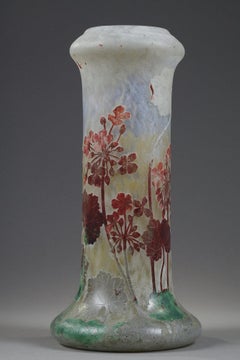 Vaso con Pelargonium