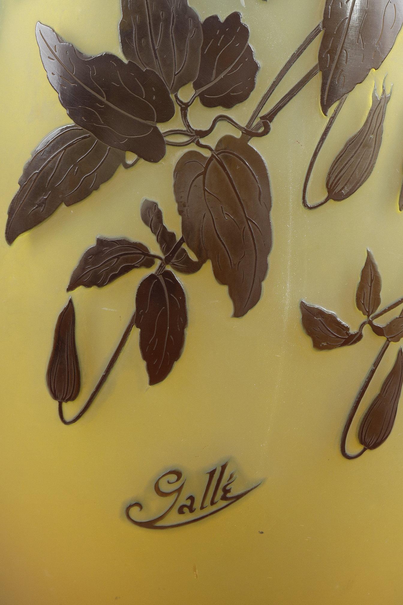 Vaso importante con Clematis in vendita 13