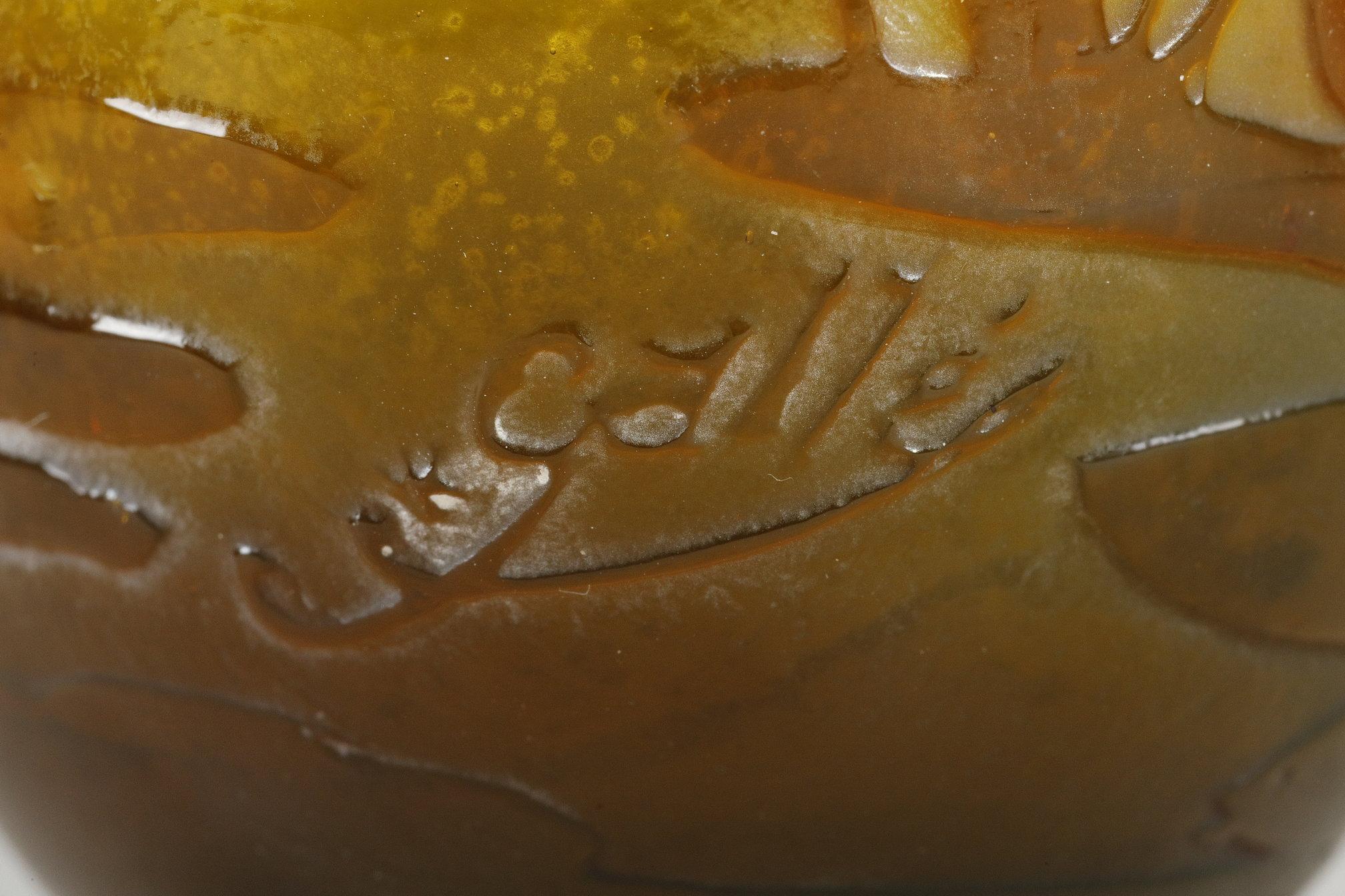 Vaso con castagnola in vendita 9