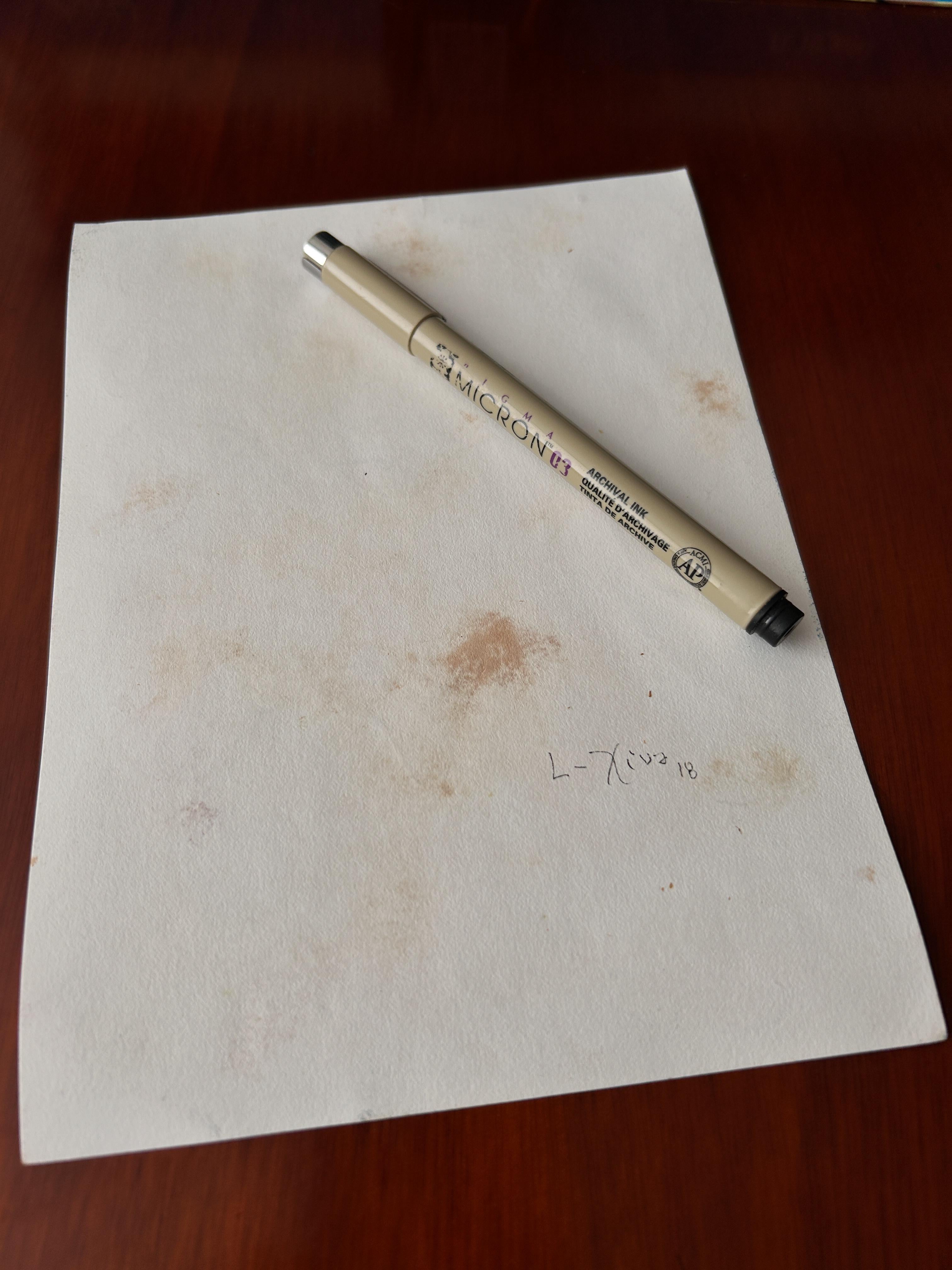 Drawing, Pastel, Ink and Colored Pencils. 