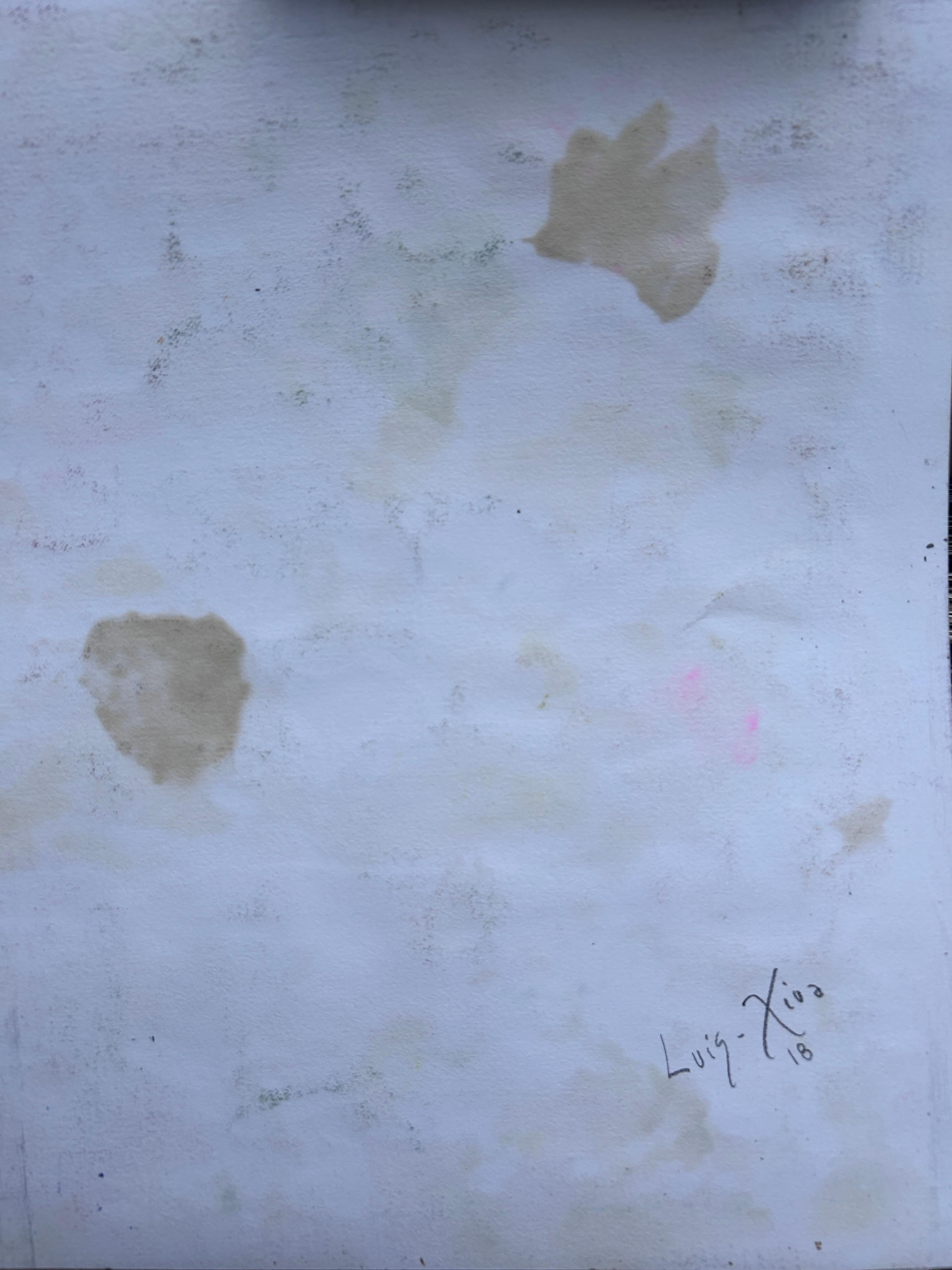 Dessin à l'encre, crayons de couleur et pastel à l'huile sur papier. 