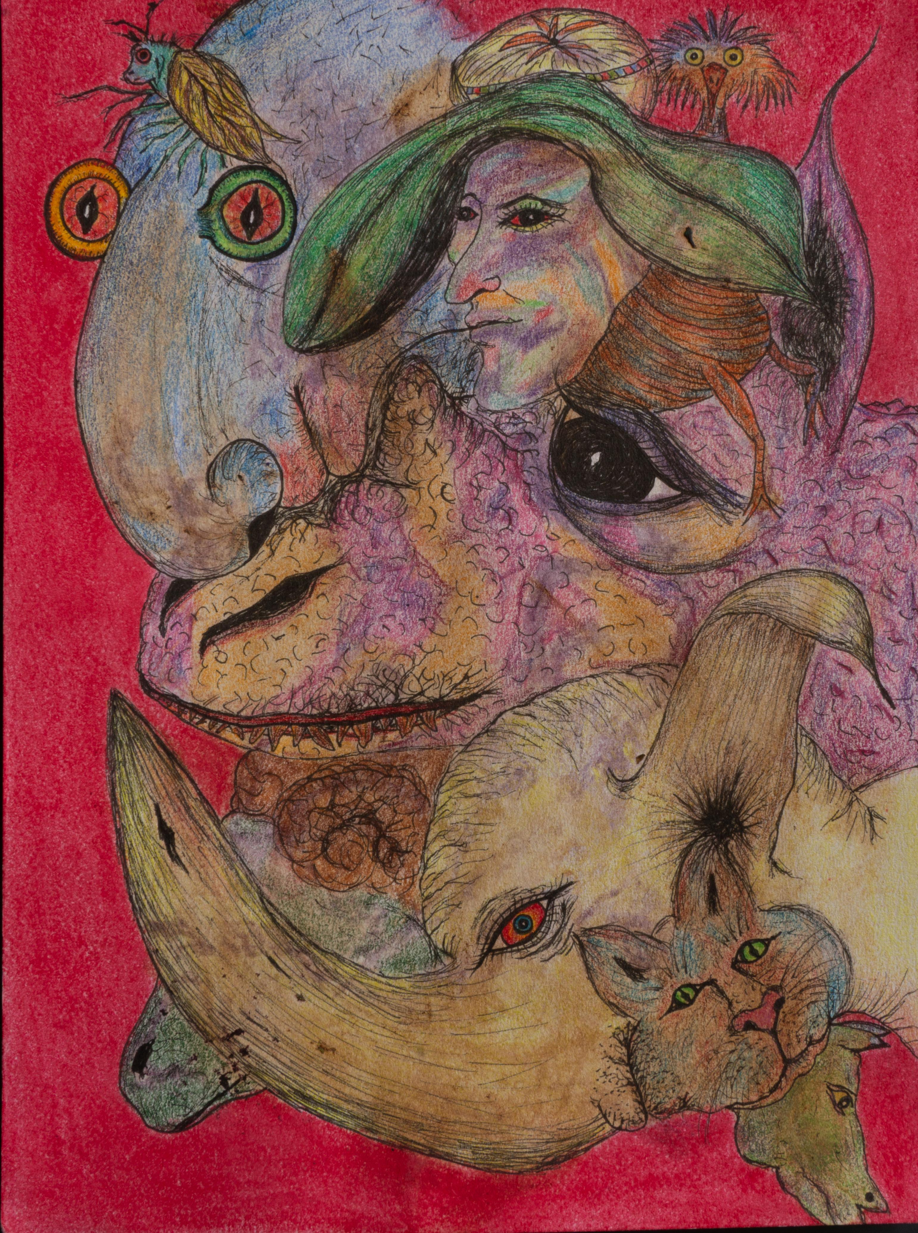 Luis Alexander Rodríguez (Ie-Xiua) Figurative Art - Drawing on Paper Colored Pencils and Pastel on Fuchsia. "Journey to Bolivia