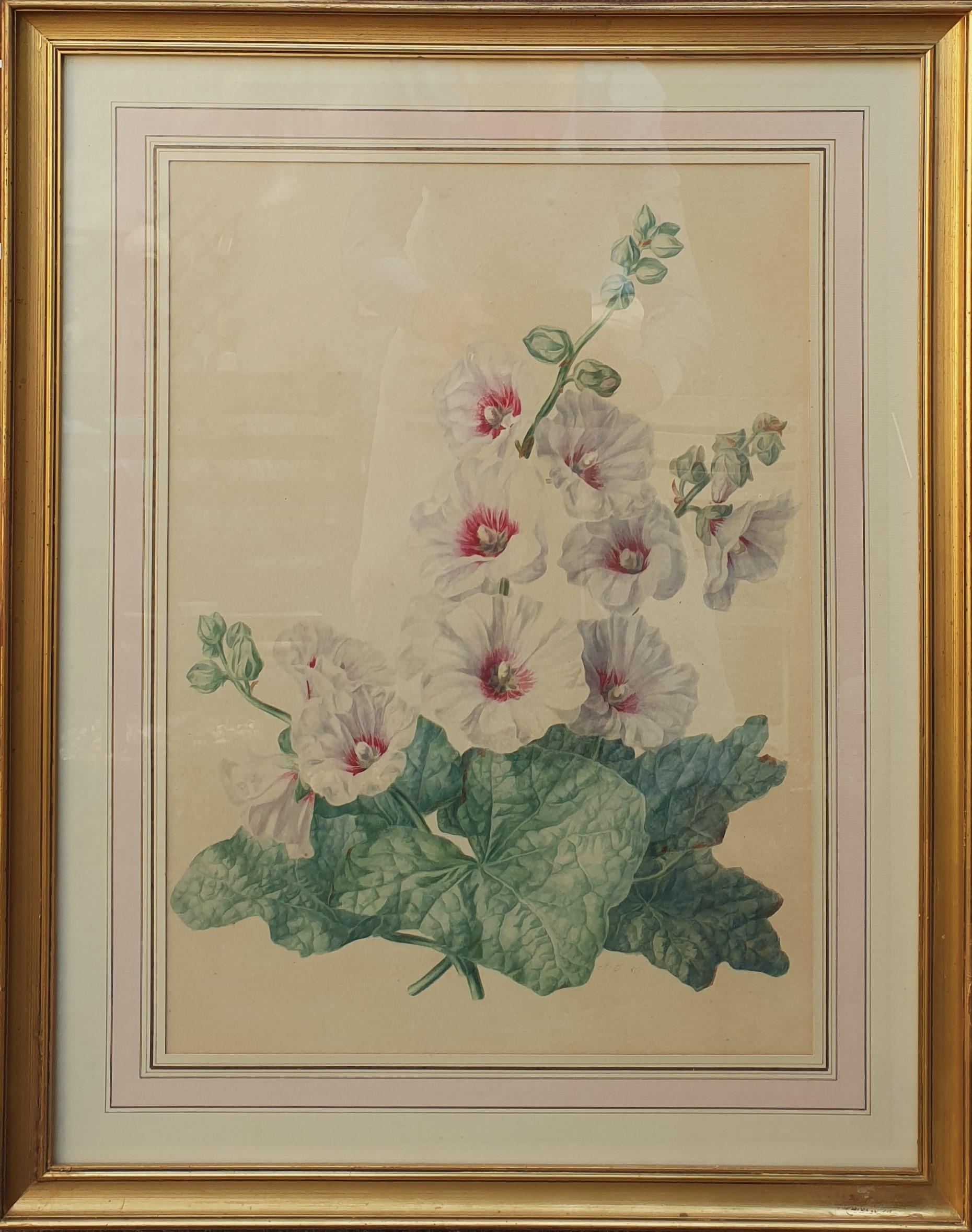 Unknown Still-Life - Watercolor 19th French school flowers hollyhocks large Academic
