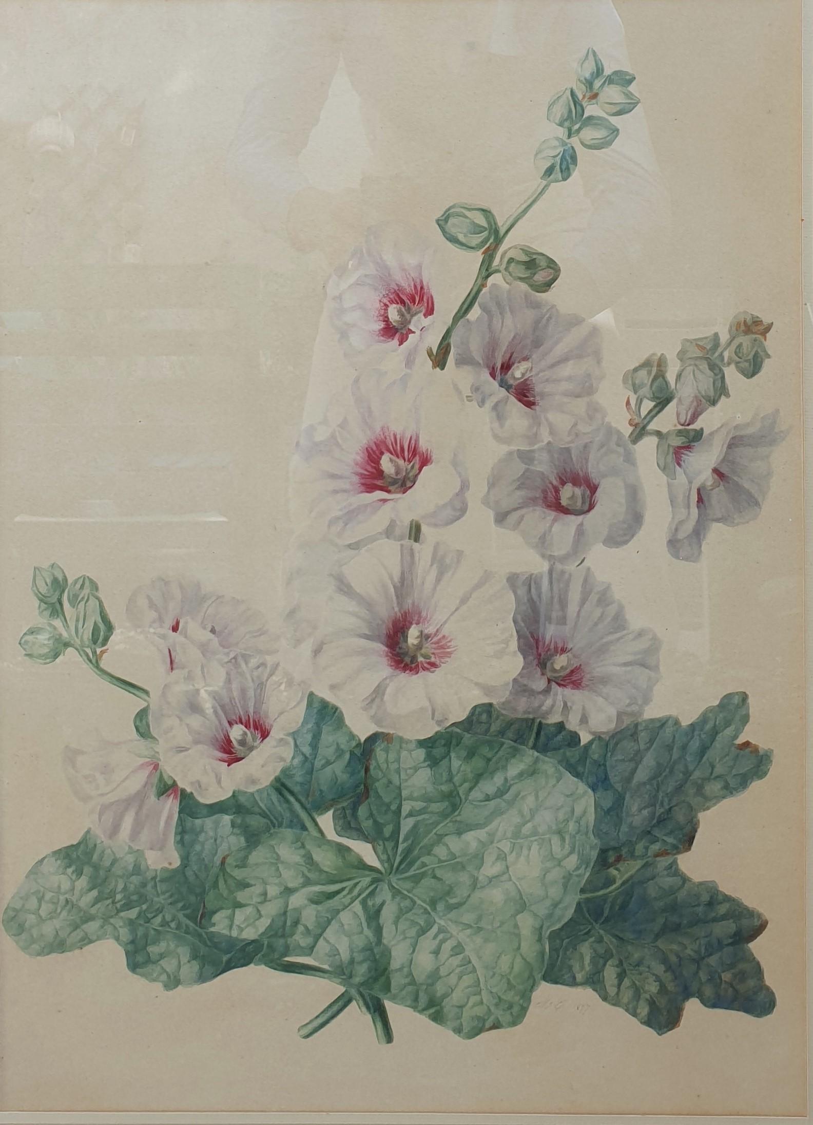 Watercolor 19th French school flowers hollyhocks large Academic - Art by Unknown