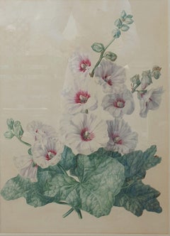 Aquarelle de l'école française du 19e siècle, fleurs de houx, grande taille académique