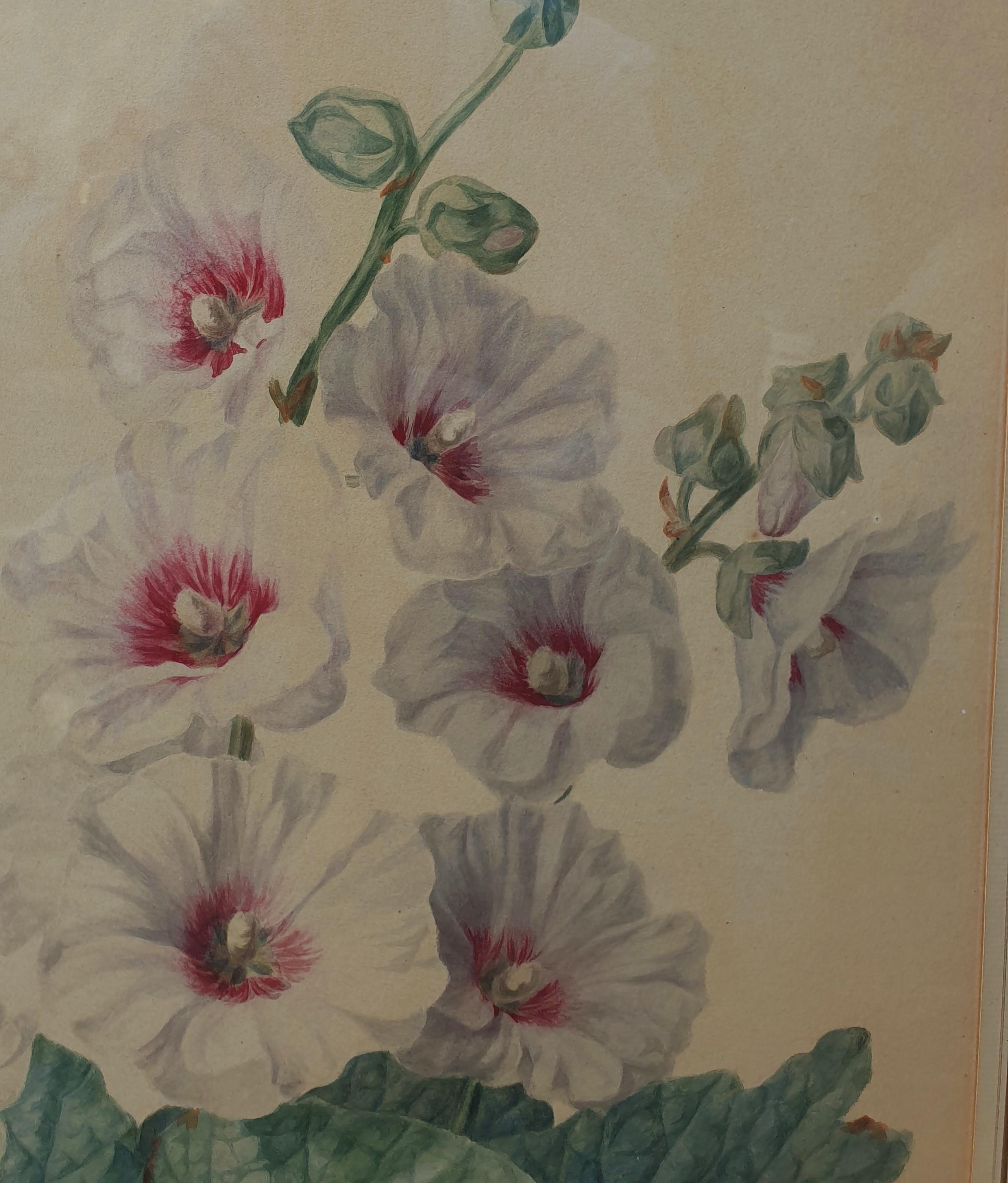 Watercolor 19th French school flowers hollyhocks large Academic For Sale 2
