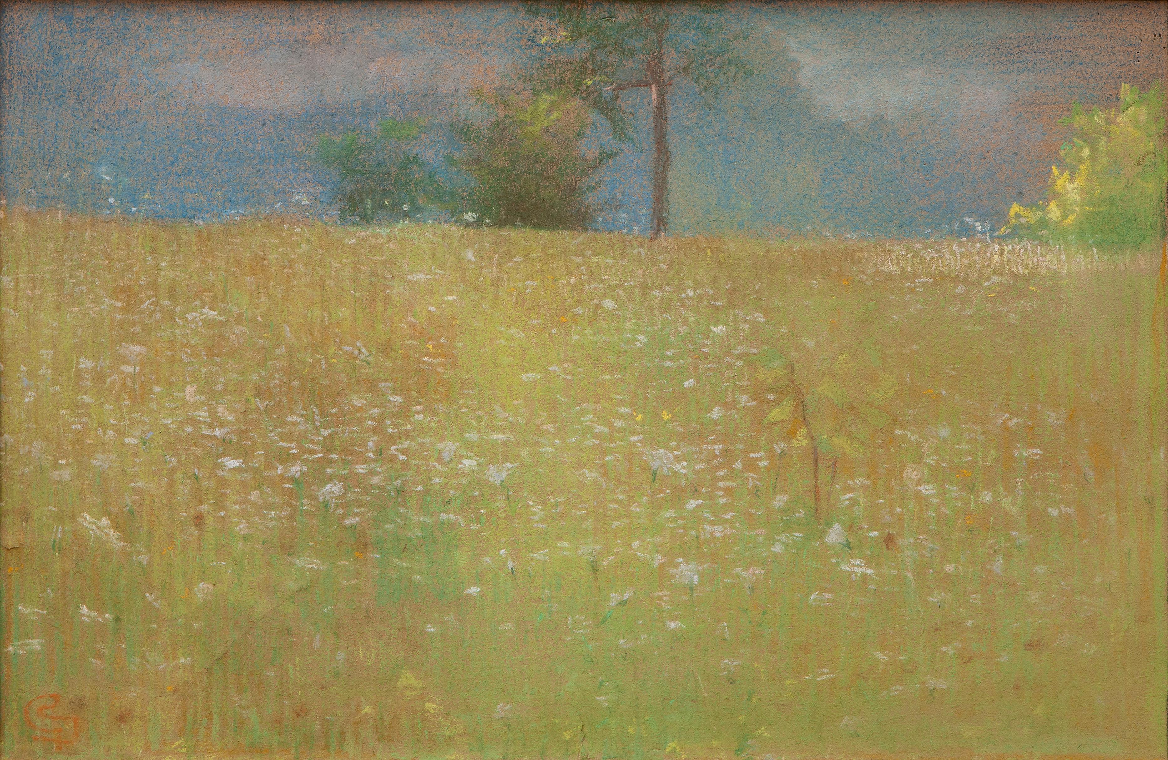 Prato fiorito - Art di Giovanni Sottocornola