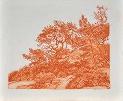 Twisted Torrey Pine