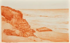 Cormorant Drying Off