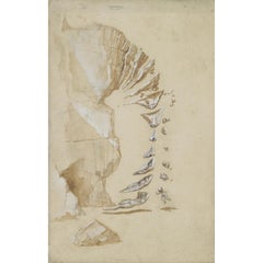 Birth of Venus and Eros