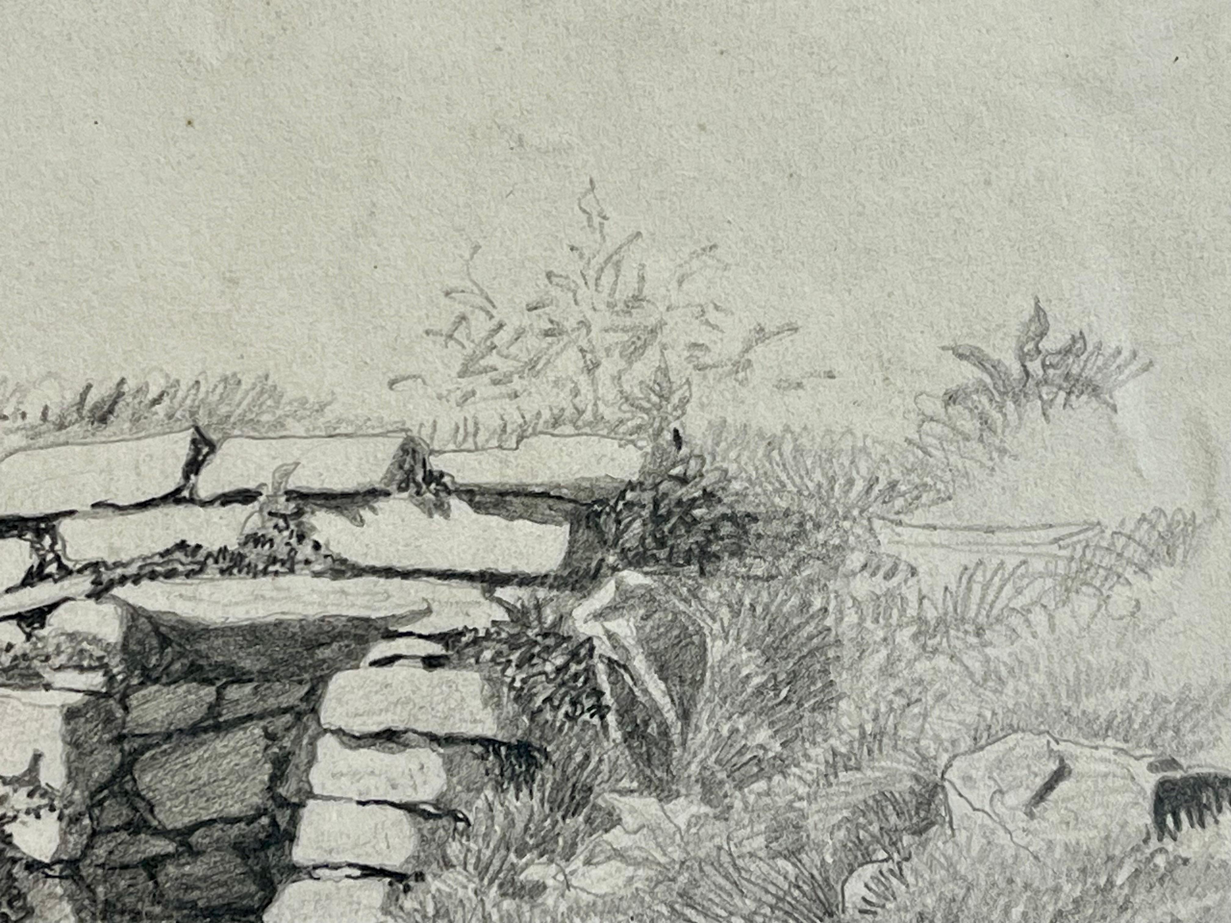 Sketch of the Well - Gray Landscape Art by Frank Anderson