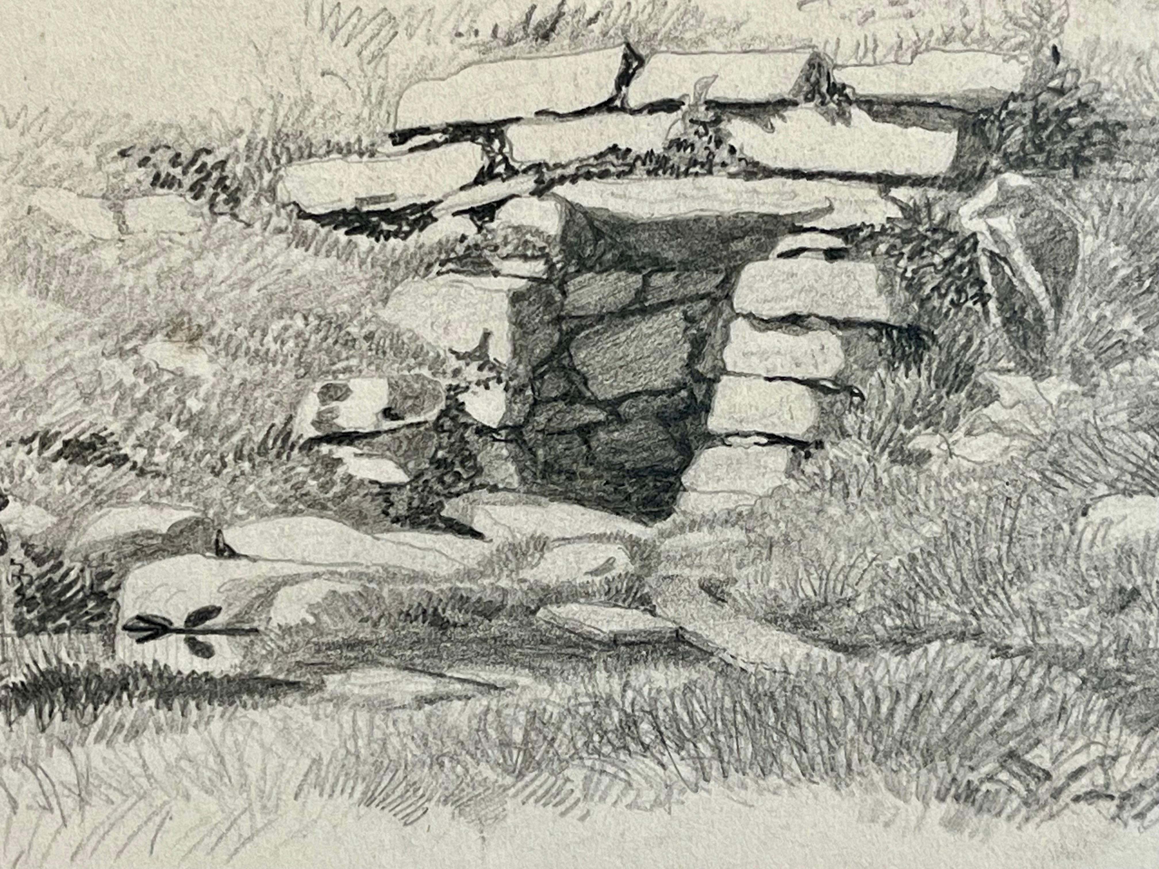 Sketch of the Well For Sale 1