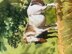 Caballos pastando