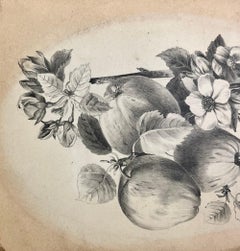 Apple Branch Botanical Still Life Sketch