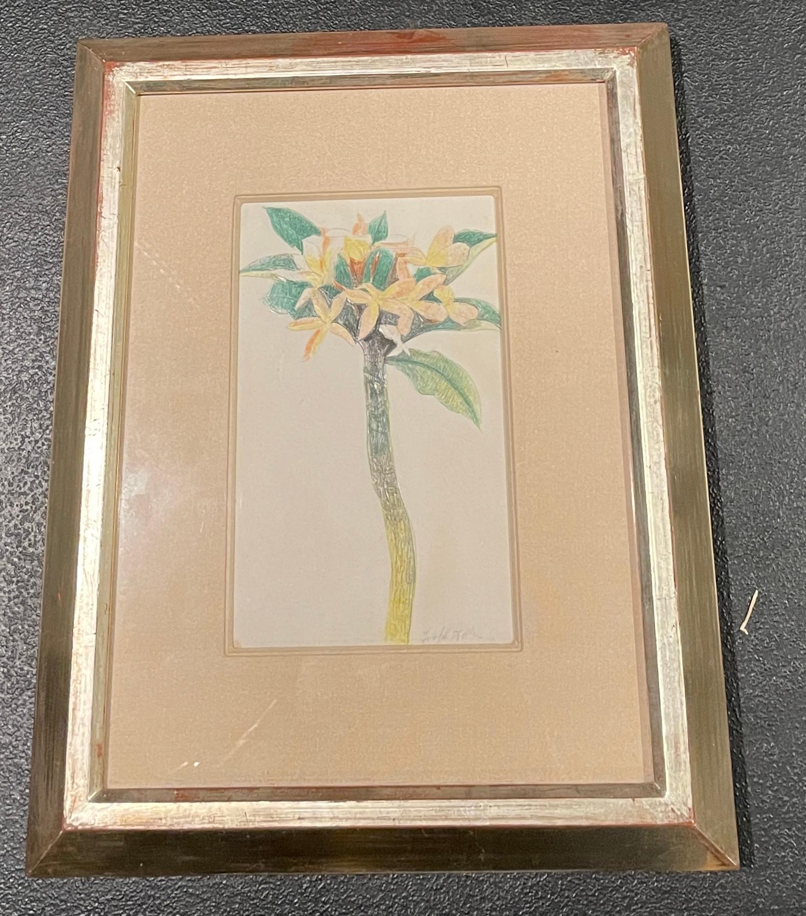 Joseph Stella Flower Study For Sale 1