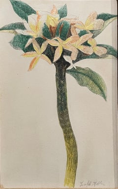 Joseph Stella Flower Study