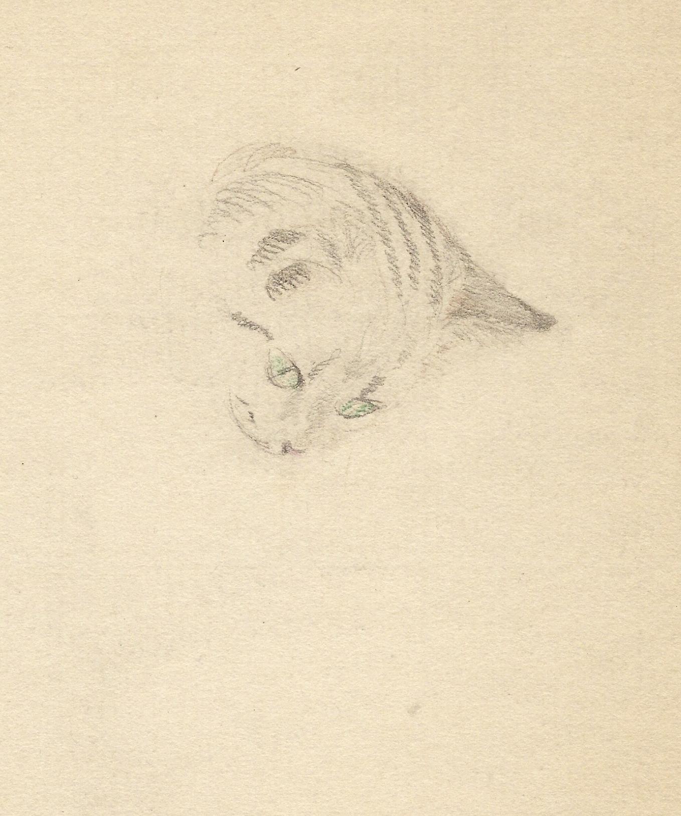 Zeichnung Zeichnungen und Aquarellbilder